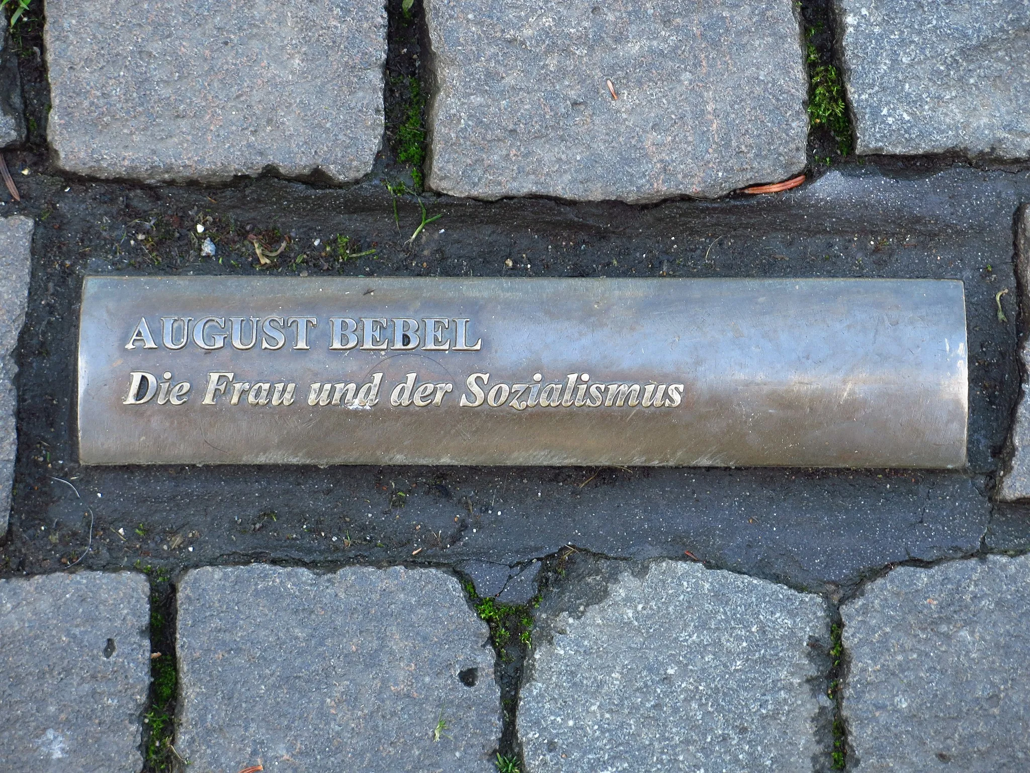 Photo showing: Das Mahnmal zur Bücherverbrennung auf dem Bonner Markt; In das Pflaster des Bonner Marktes sind insgesamt 60 sichtbare Buchrücken, sogenannte „Lesezeichen“, verteilt, die sich an der Rathaustreppe, dem Ort, an dem die Bücher am 10. Mai 1933 verbrannt wurden, verdichten. Zusätzlich wurde ein wetterfester Archiv-Behälter in Form einer Büchertruhe in den Platz eingelassen. Seine Inschrift benennt das Ereignis und weitere Autoren von verbrannten Büchern.