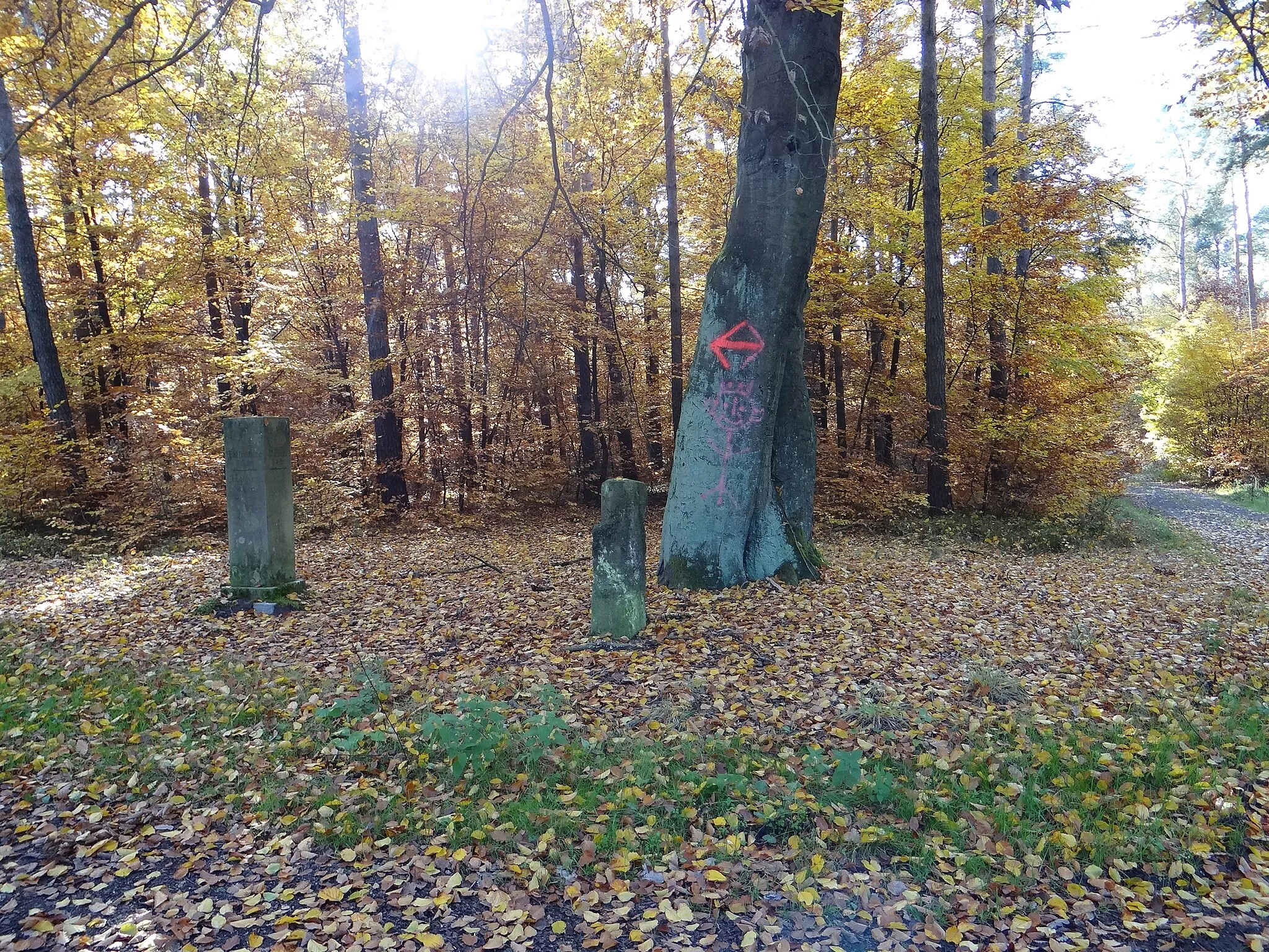 Photo showing: Distanzsteine in der Duebener Heide