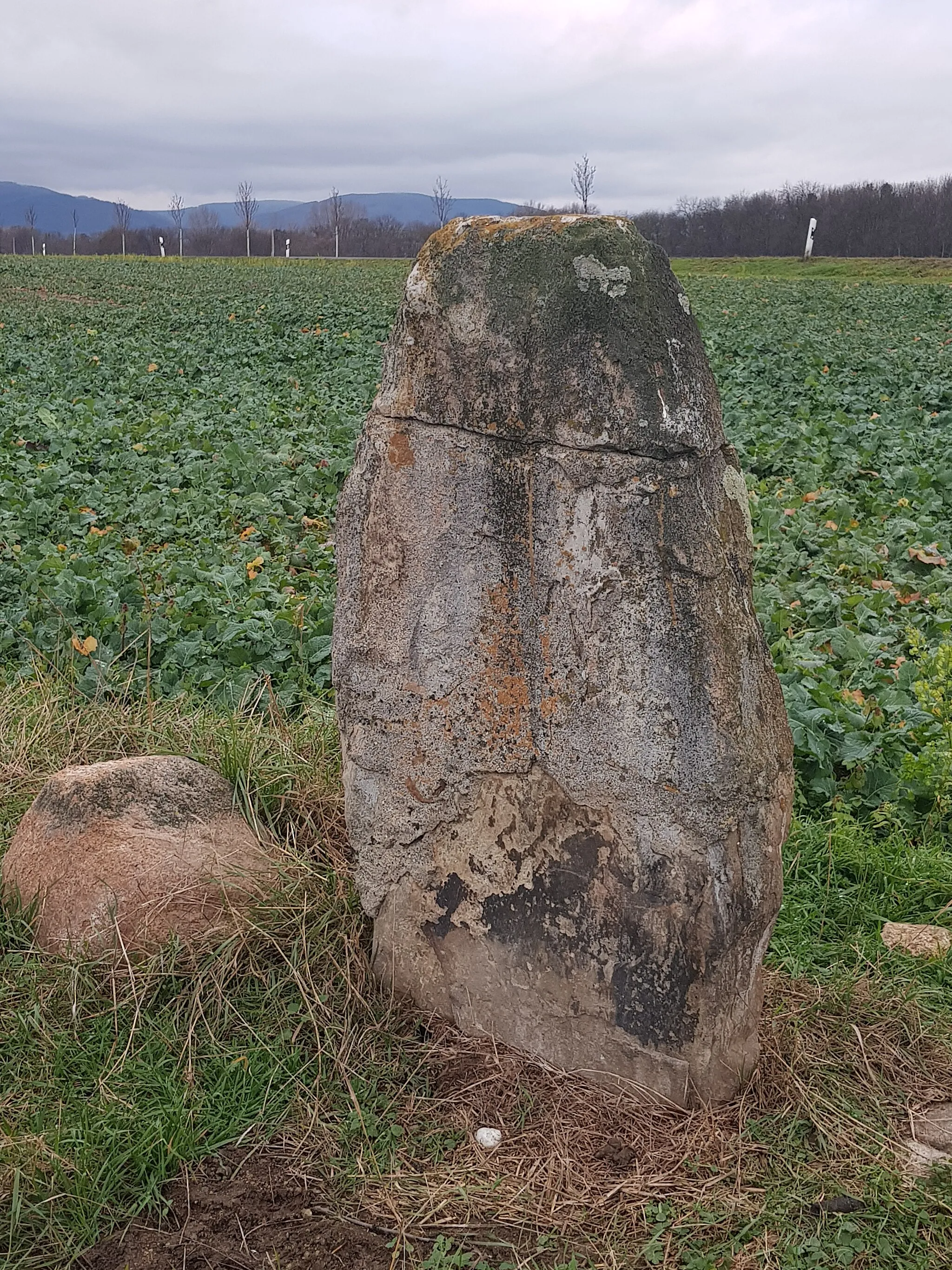 Photo showing: Der Menhir von Wasserleben ist ein vorgeschichtlicher Menhir und Gegenstand der Brotstein-Legende.