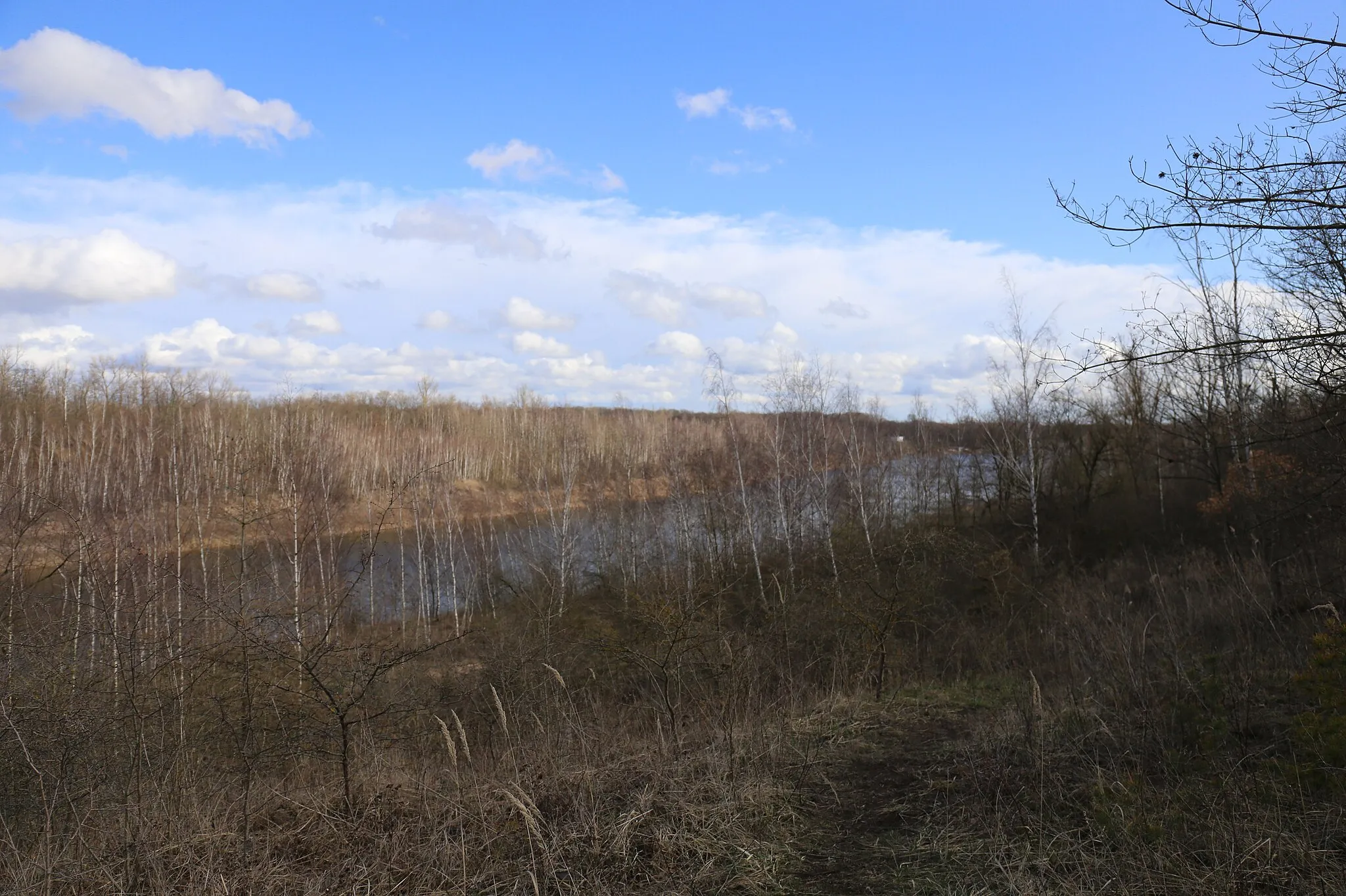 Photo showing: Der Osendorfer See (Dieskauer See) genannt ist ein See bei Halle in Sachsen-Anhalt.