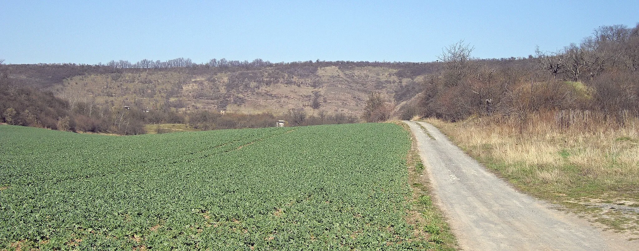 Photo showing: der Steilhang Riß zwischen Wormsleben und Hedersleben im Mansfelder Land