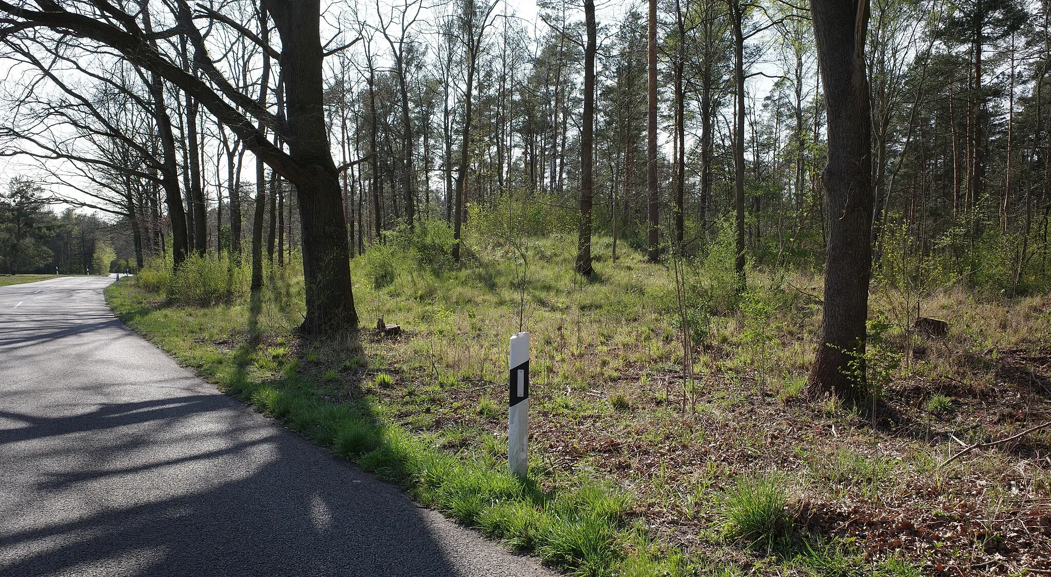 Photo showing: Gräfenhainichen, Ortsteil Jüdenberg, 4 Grabhügel.