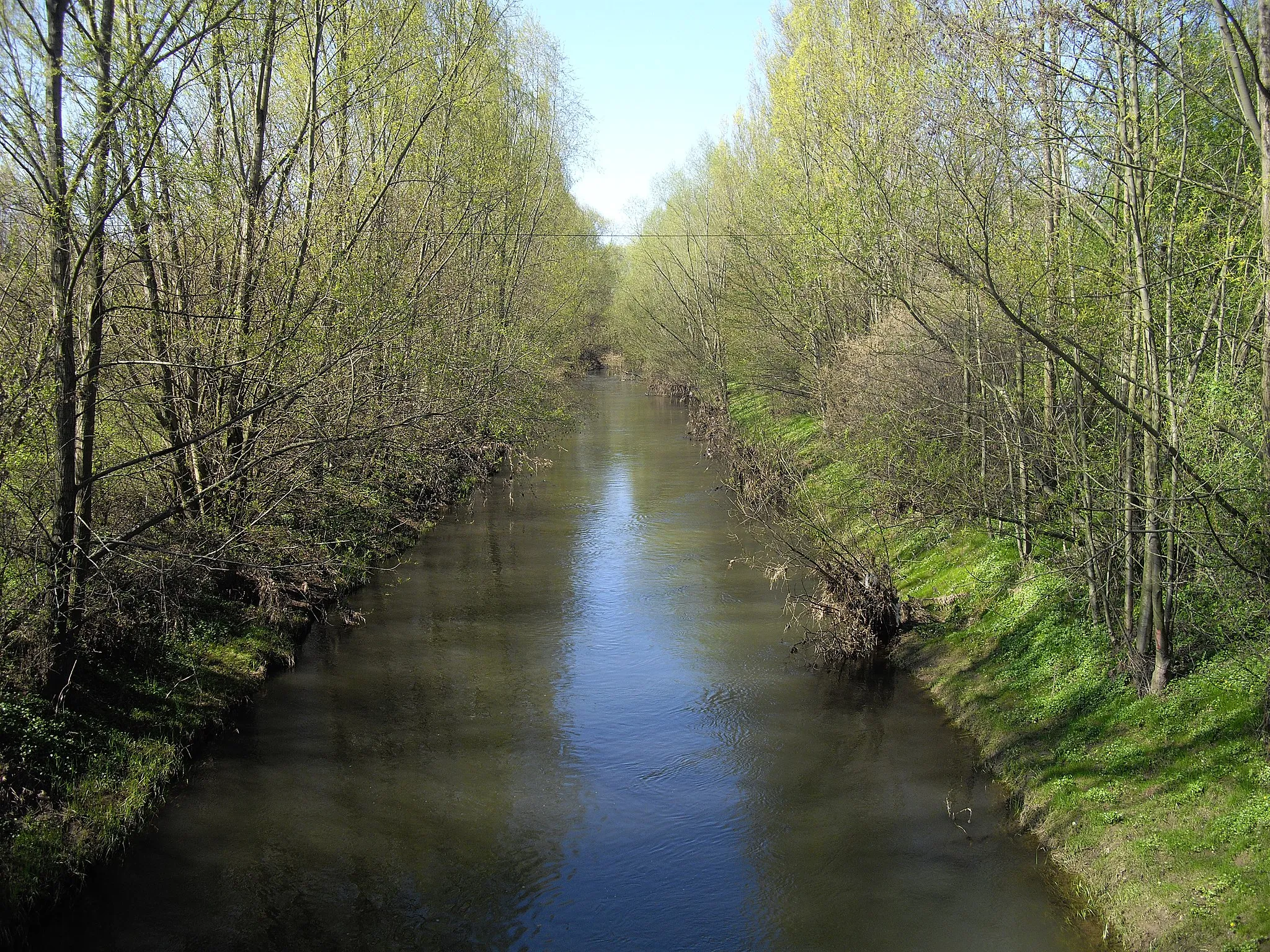 Photo showing: the river Helme near Katharinenrieth in the Mansfeld-Südharz rural district, Germany