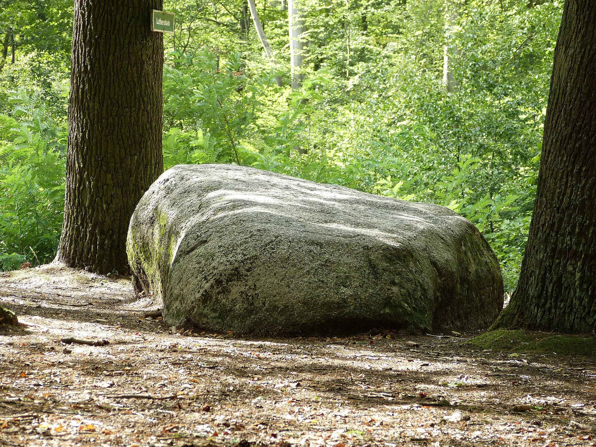 Photo showing: Lutherstein in der Dübener Heide an der B2