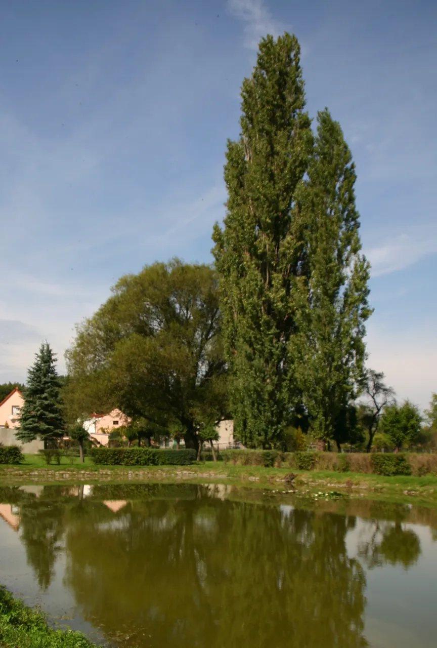 Photo showing: Scheuder ist ein Teil der Stadt Südliches Anhalt in Sachsen-Anhalt.