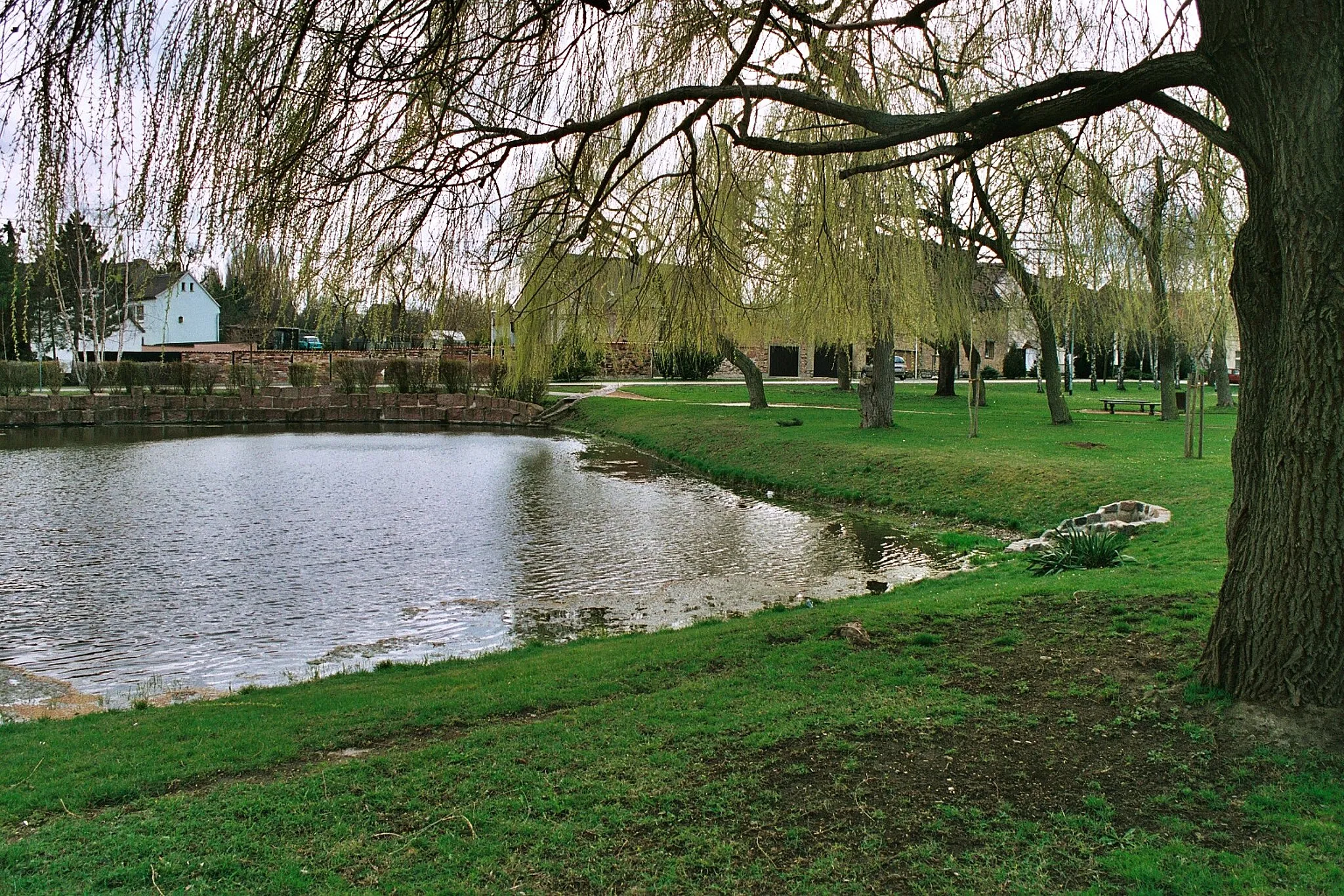 Photo showing: Reichardtswerben (Weißenfels), the Mittelteich (middle pond