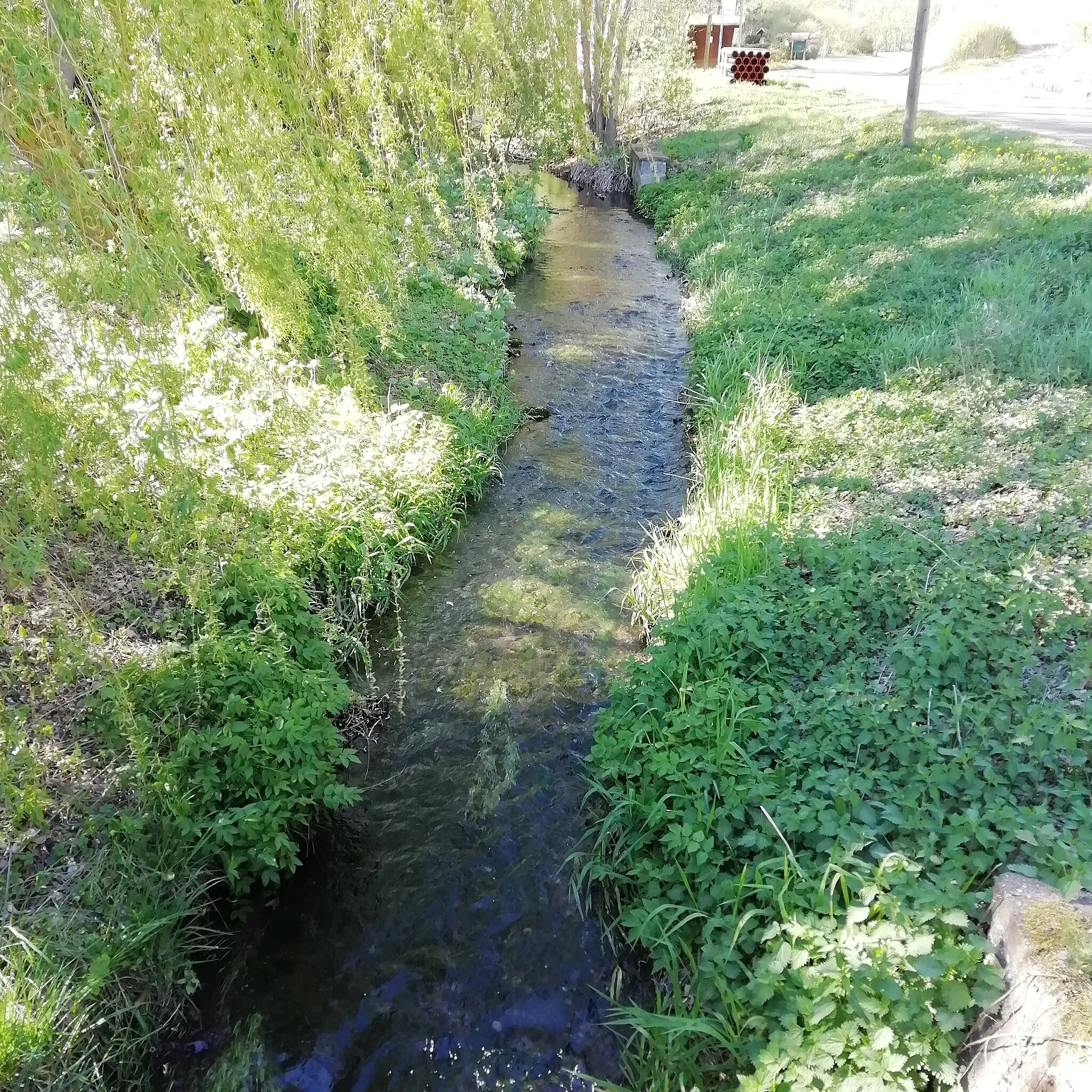 Photo showing: Der Bachlauf der Nasse in Wickerode, Gemeinde Südharz, Landkreis Mansfeld Südharz, Sachsen-Anhalt.