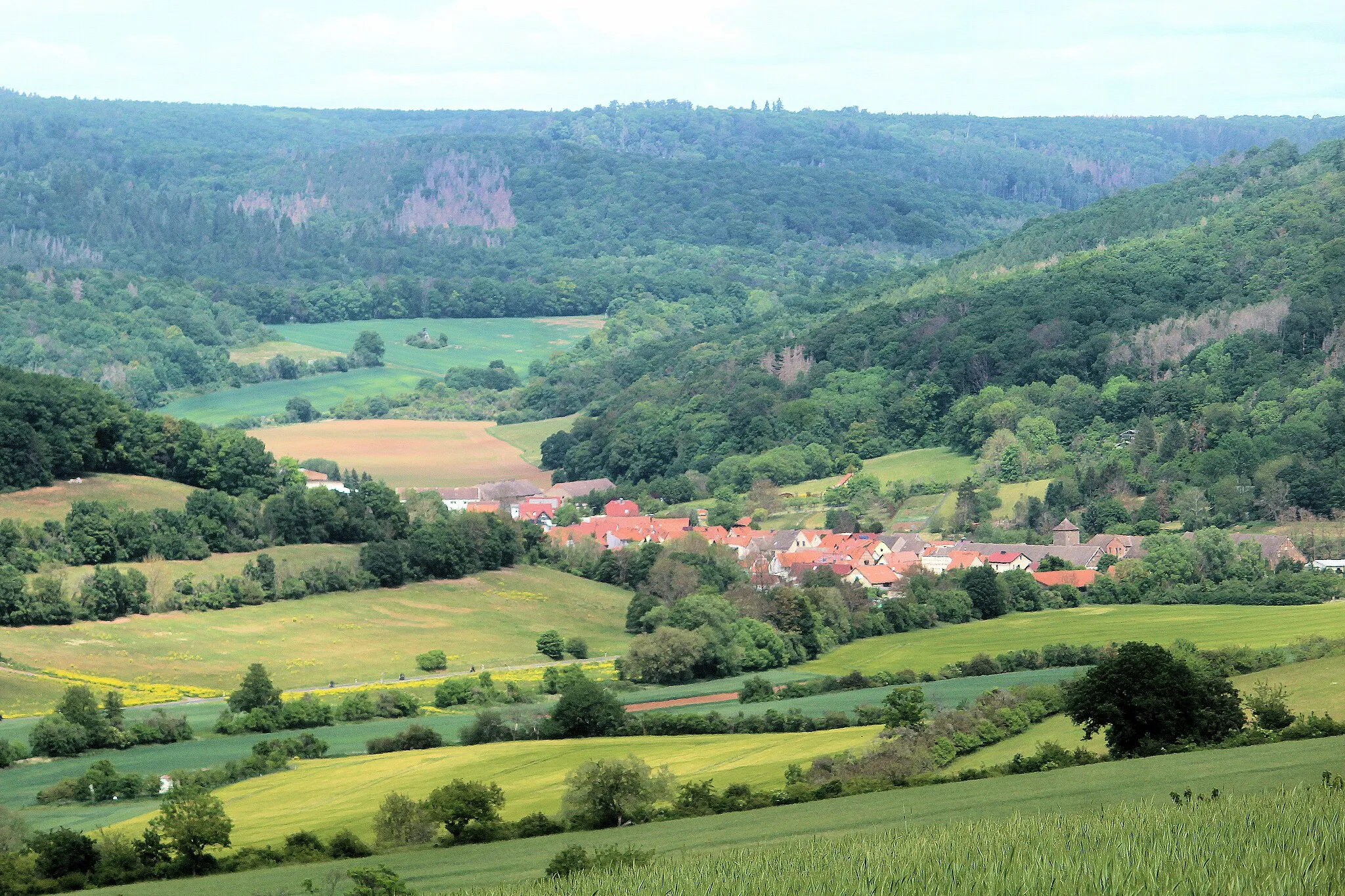 Photo showing: Drebsdorf (Südharz), view from Großer Buchberg to Großleinungen