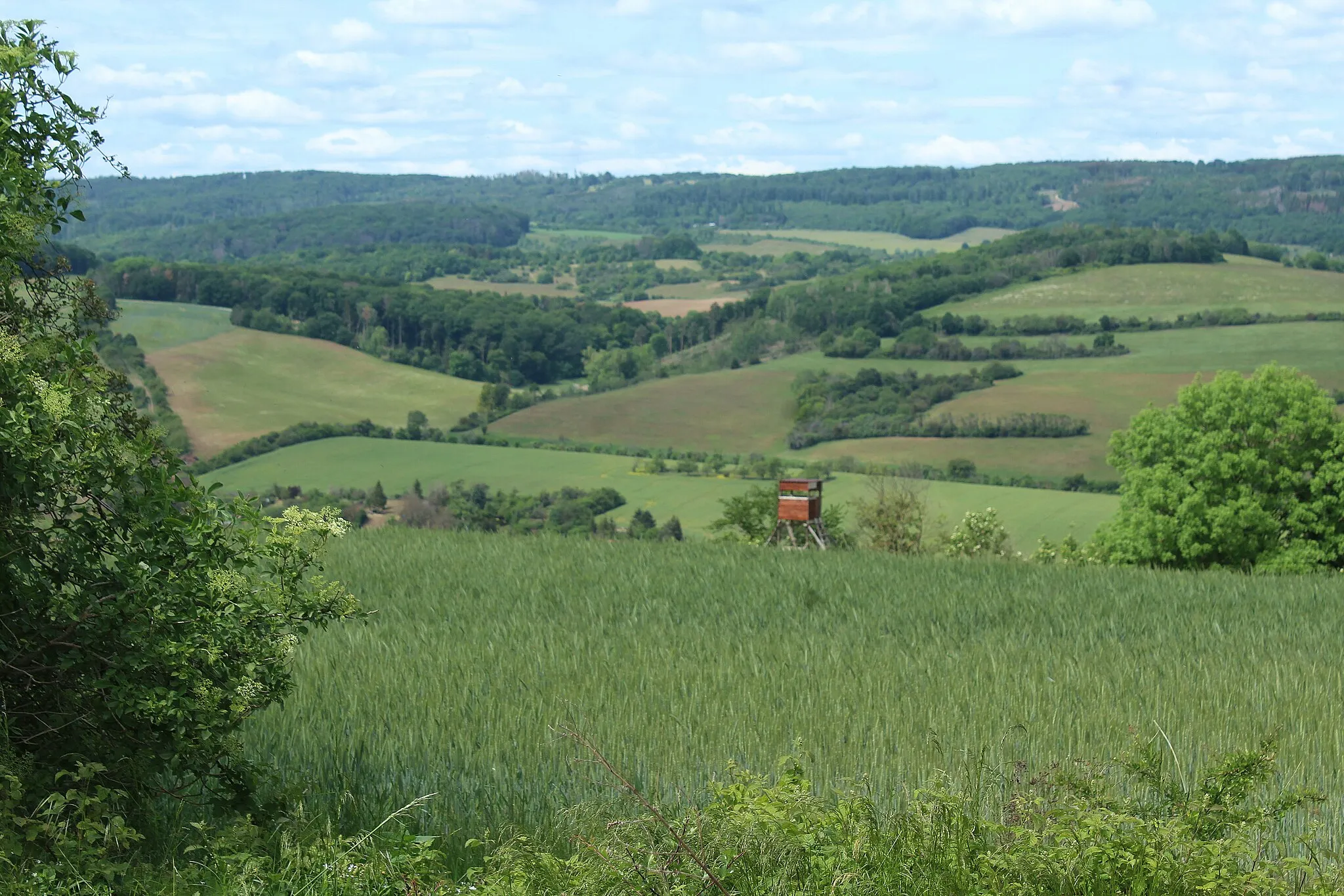 Photo showing: Drebsdorf (Südharz), view from Großer Buchberg northwards