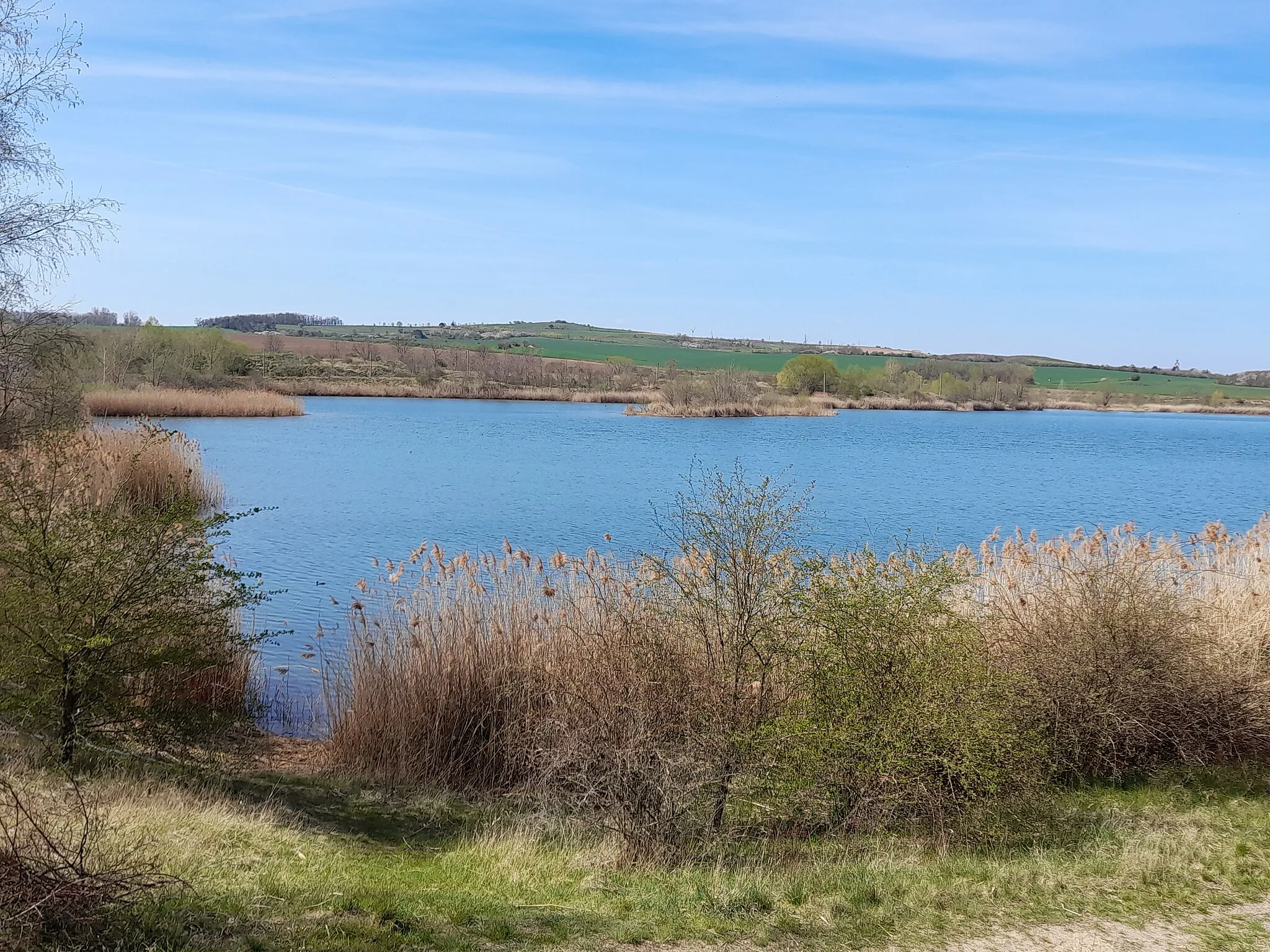 Photo showing: Der Baggersee Kiesgrube Plötz (Wettin-Löbejün)