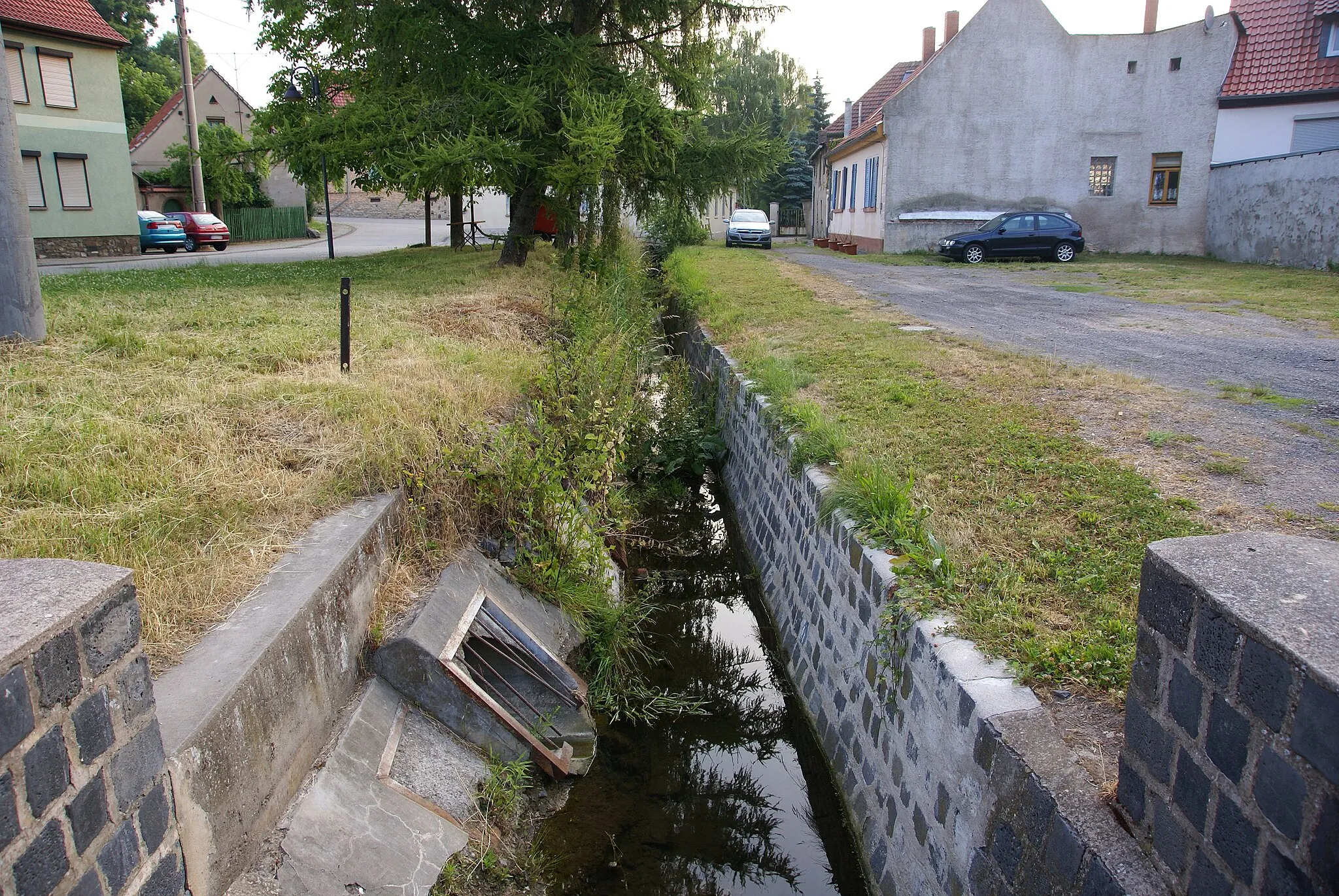 Photo showing: the stream Rüstebach after his first bridge near the pond of the german village Siersleben