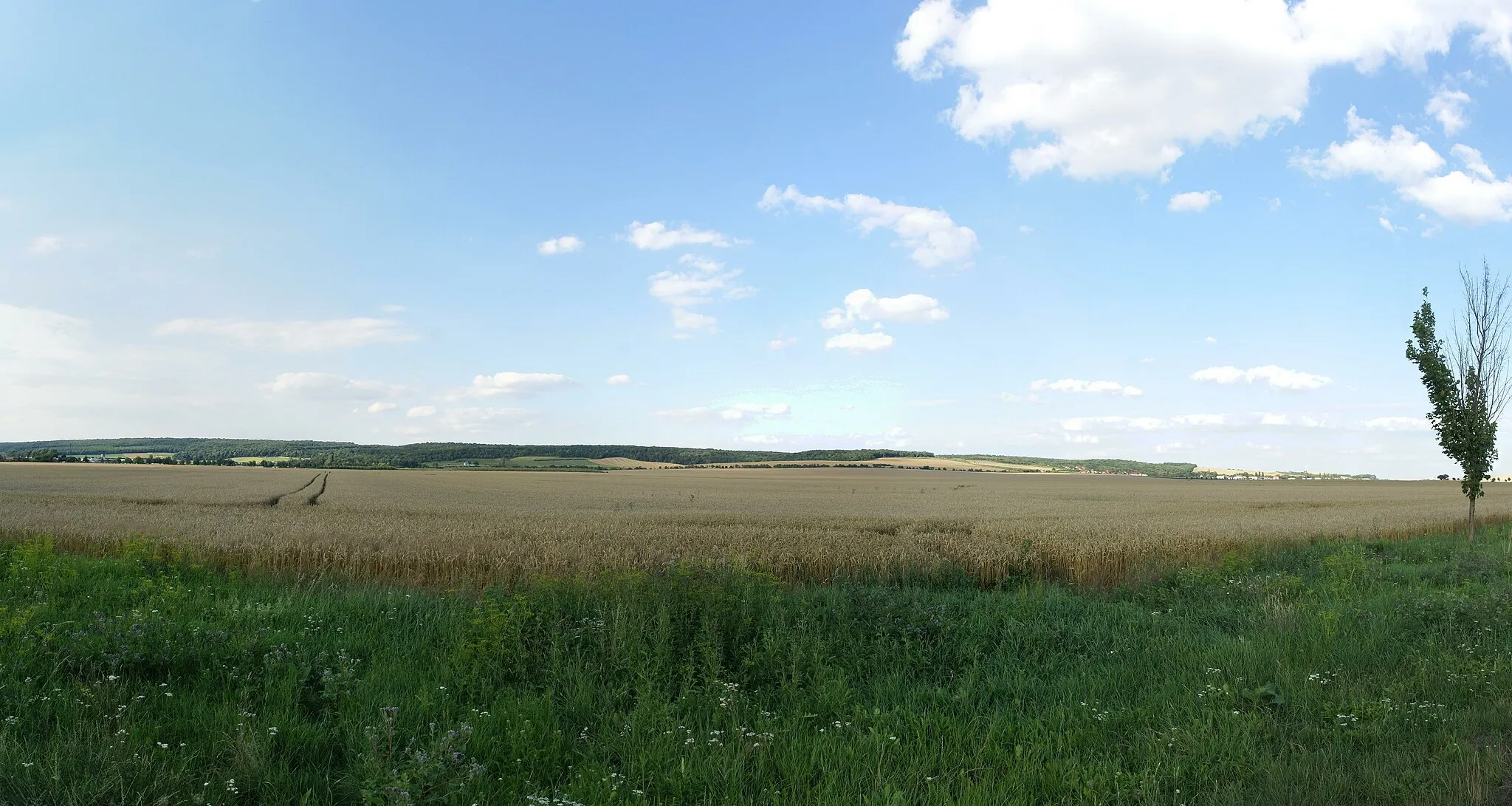 Photo showing: Blick auf den Hornburger Sattel von Kleinosterhausen im Süden