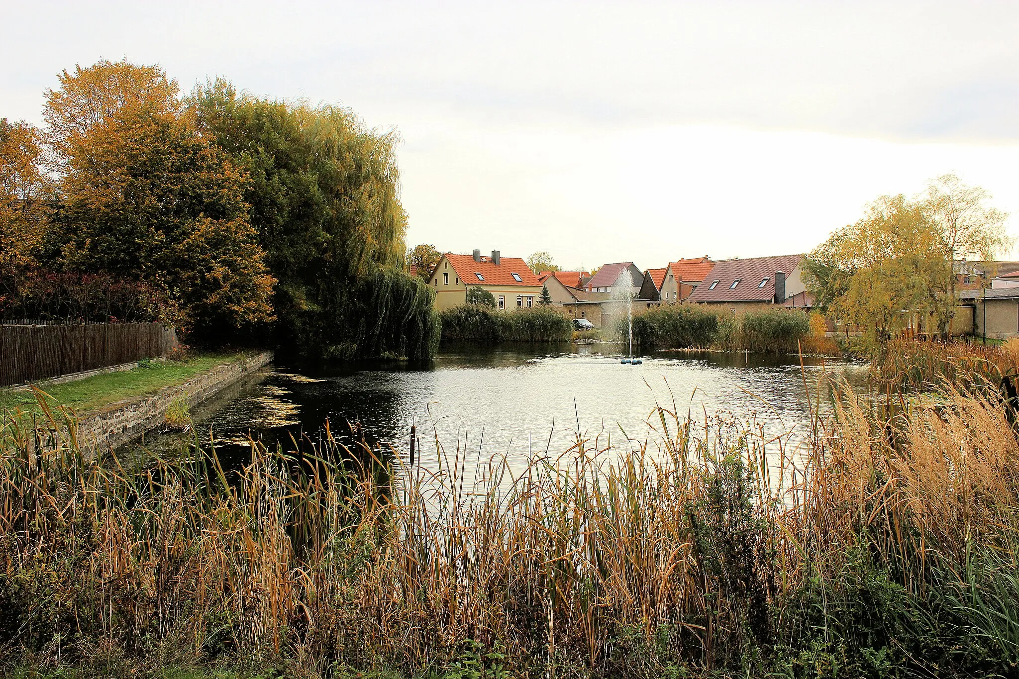 Photo showing: Heteborn, the pond