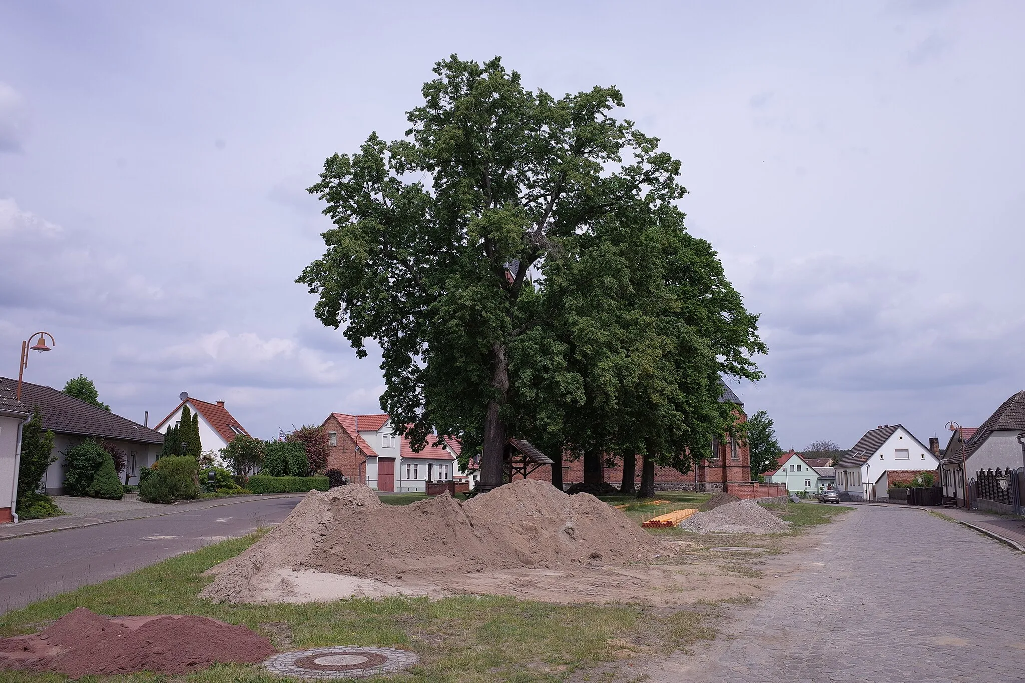 Photo showing: Stadt Zerbst (Anhalt), Ortsteil Reuden/Anhalt. Die Friedenslinde an der Kirche (Der erste Baum im Vordergrund).
