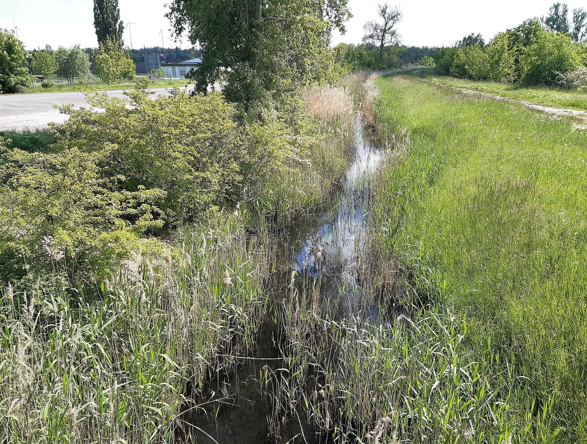Photo showing: Südlicher Ringkanal, Wansleben am See, Seegebiet Mansfelder Land, Landkreis Mansfeld-Südharz