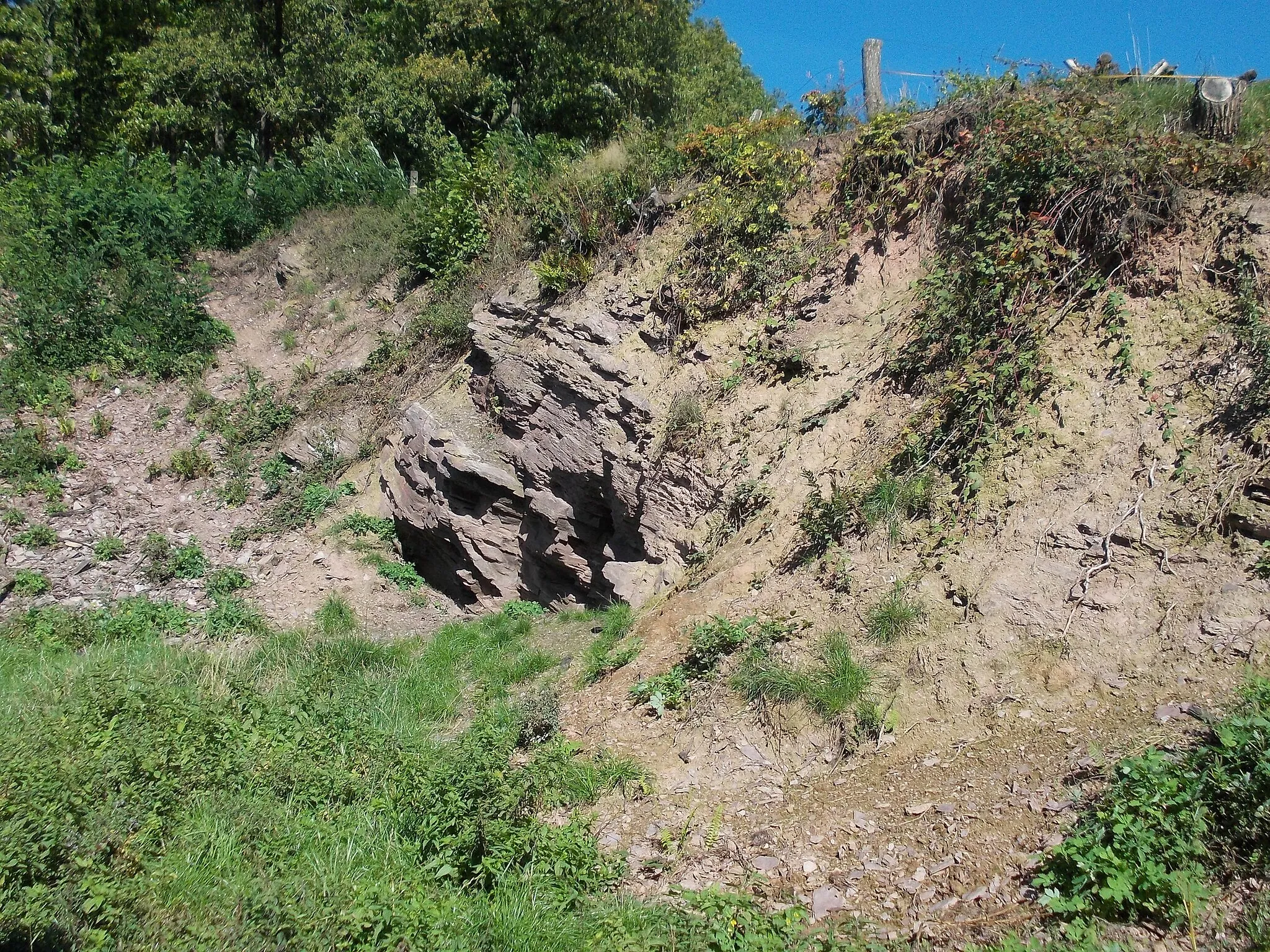 Photo showing: Slate outcrop at Wolfsmühle near Rodishain (Nordhausen, Thuringia)