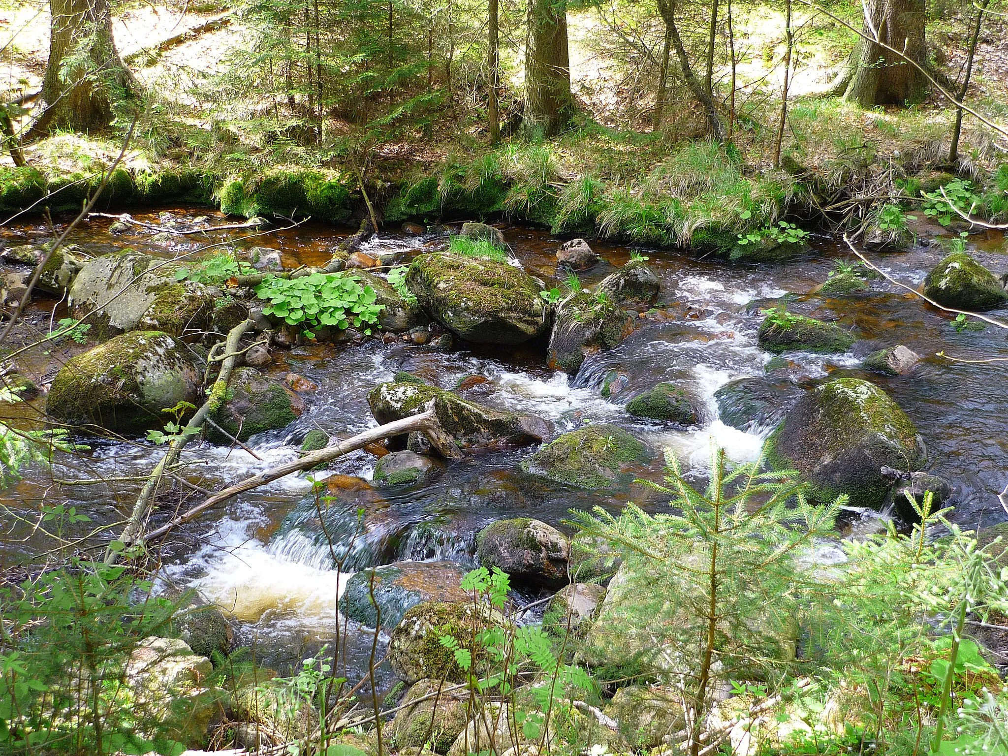 Photo showing: Waldweg Elend Richtung Brocken