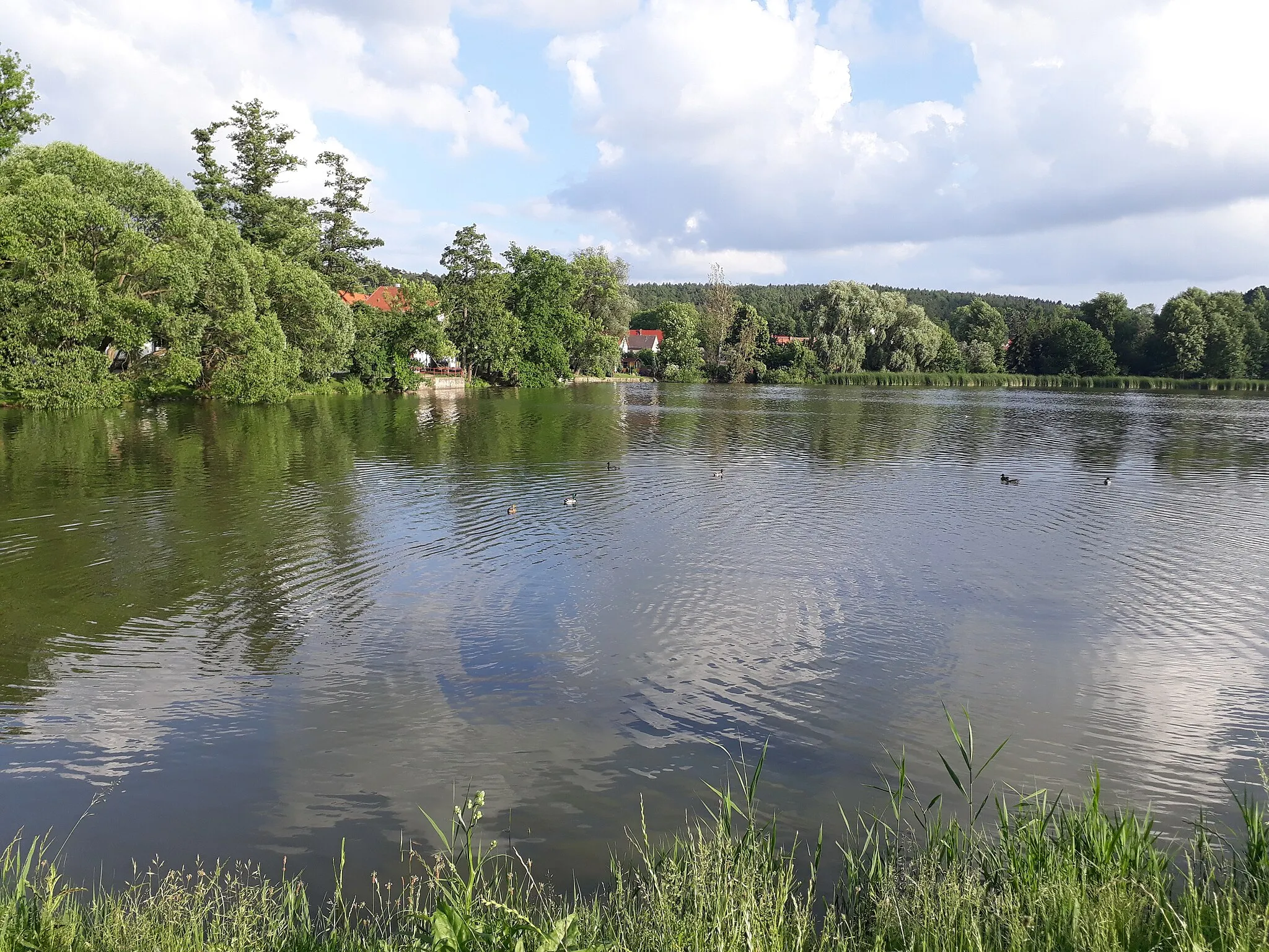 Photo showing: Hainspitzer See, Thüringen