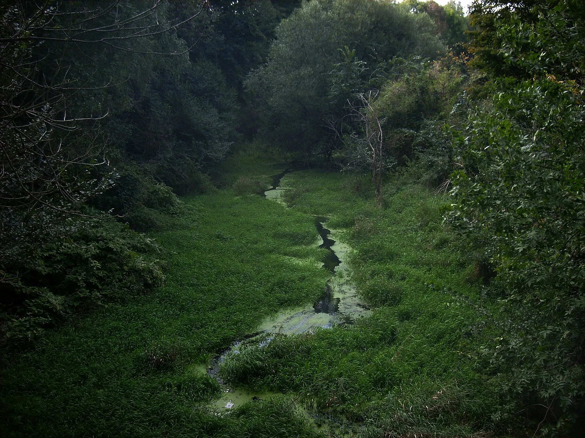 Photo showing: Luppe river, a branch of the Weisse Elster, near Horburg (Leuna, district of Salekreis, Saxony-Anhalt)
