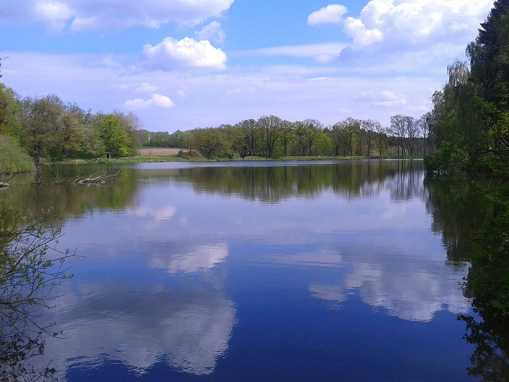 Photo showing: Blick über den Kunstteich Neudorf