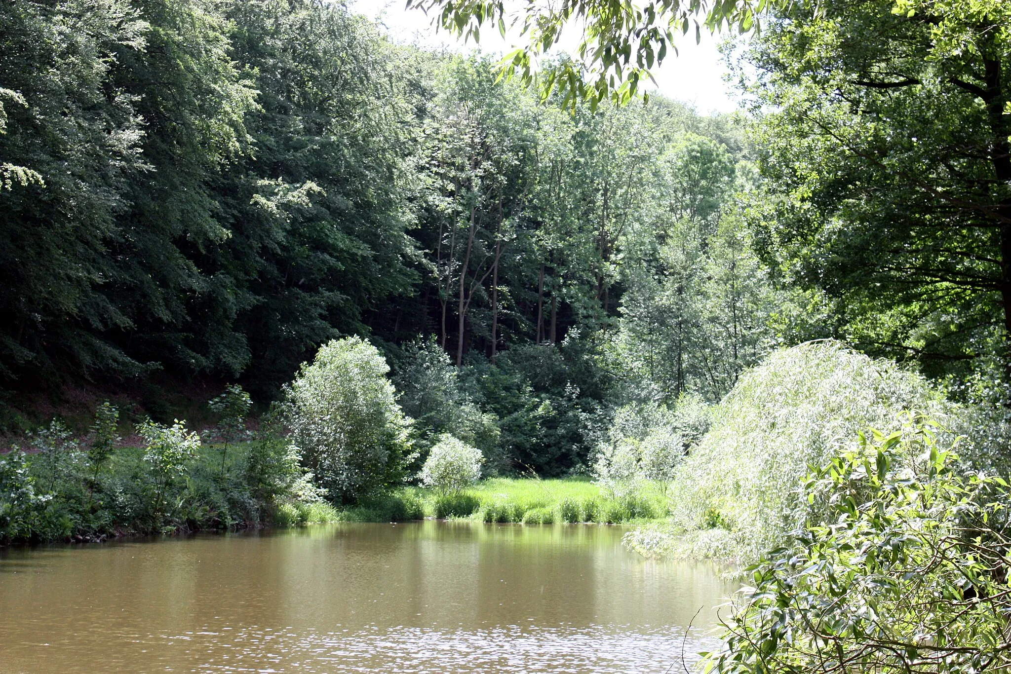 Photo showing: Annarode (Mansfeld), pond in the valley of the Dippelsbach