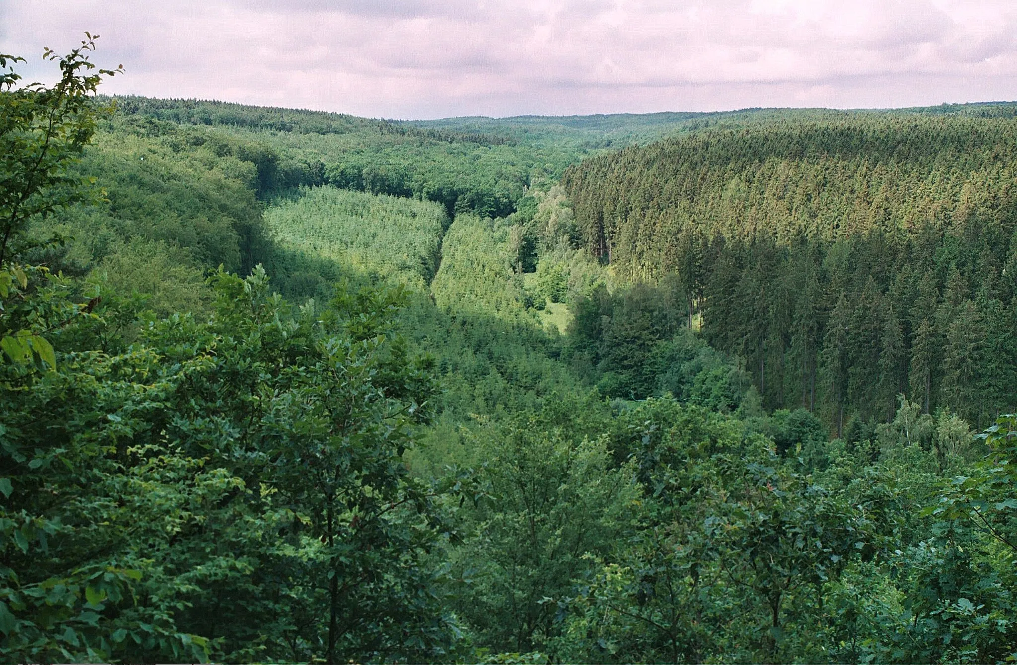 Photo showing: View from the "Rossberg" to the Mansfeld hill country