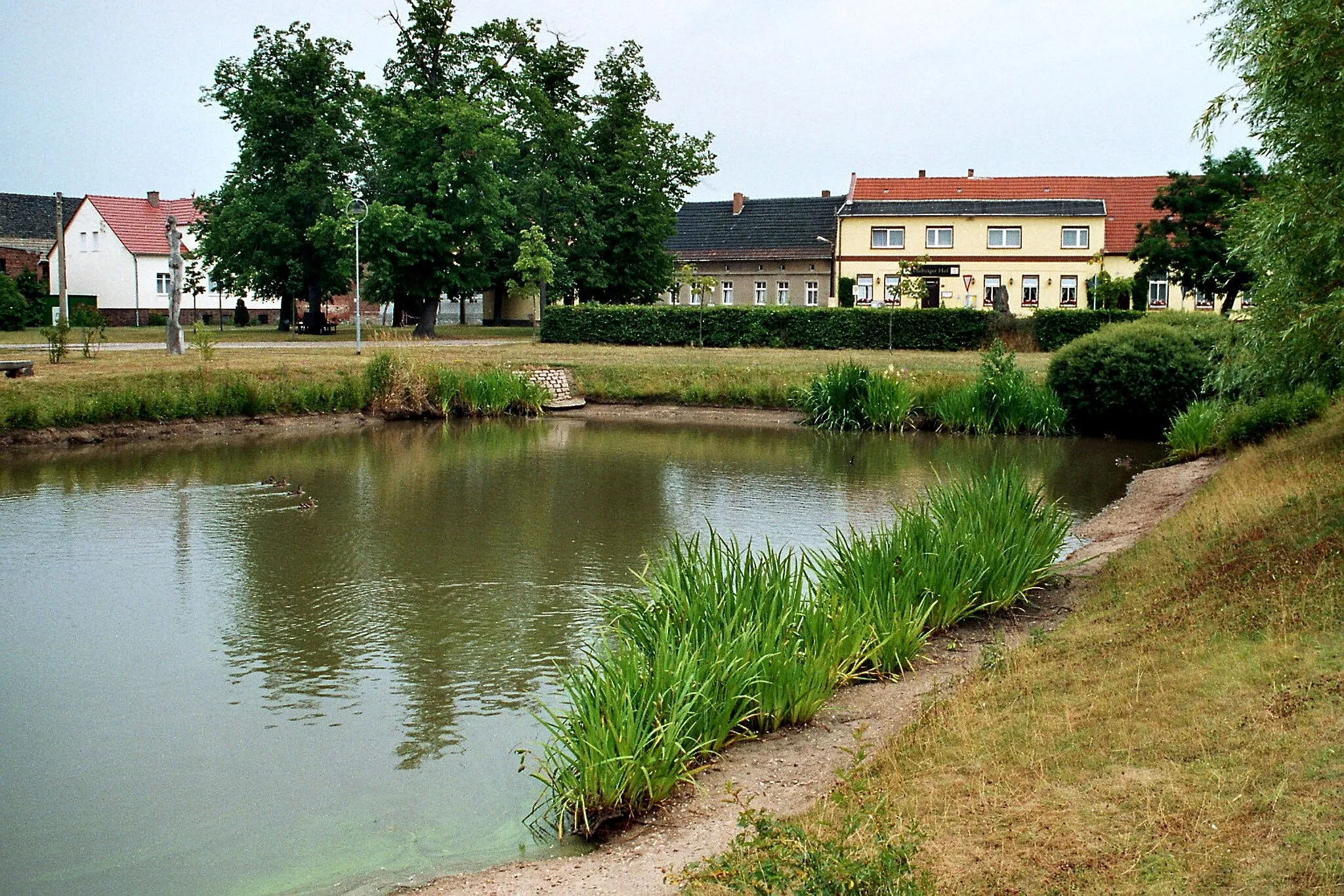 Photo showing: Diebzig (Osternienburger Land), the pond