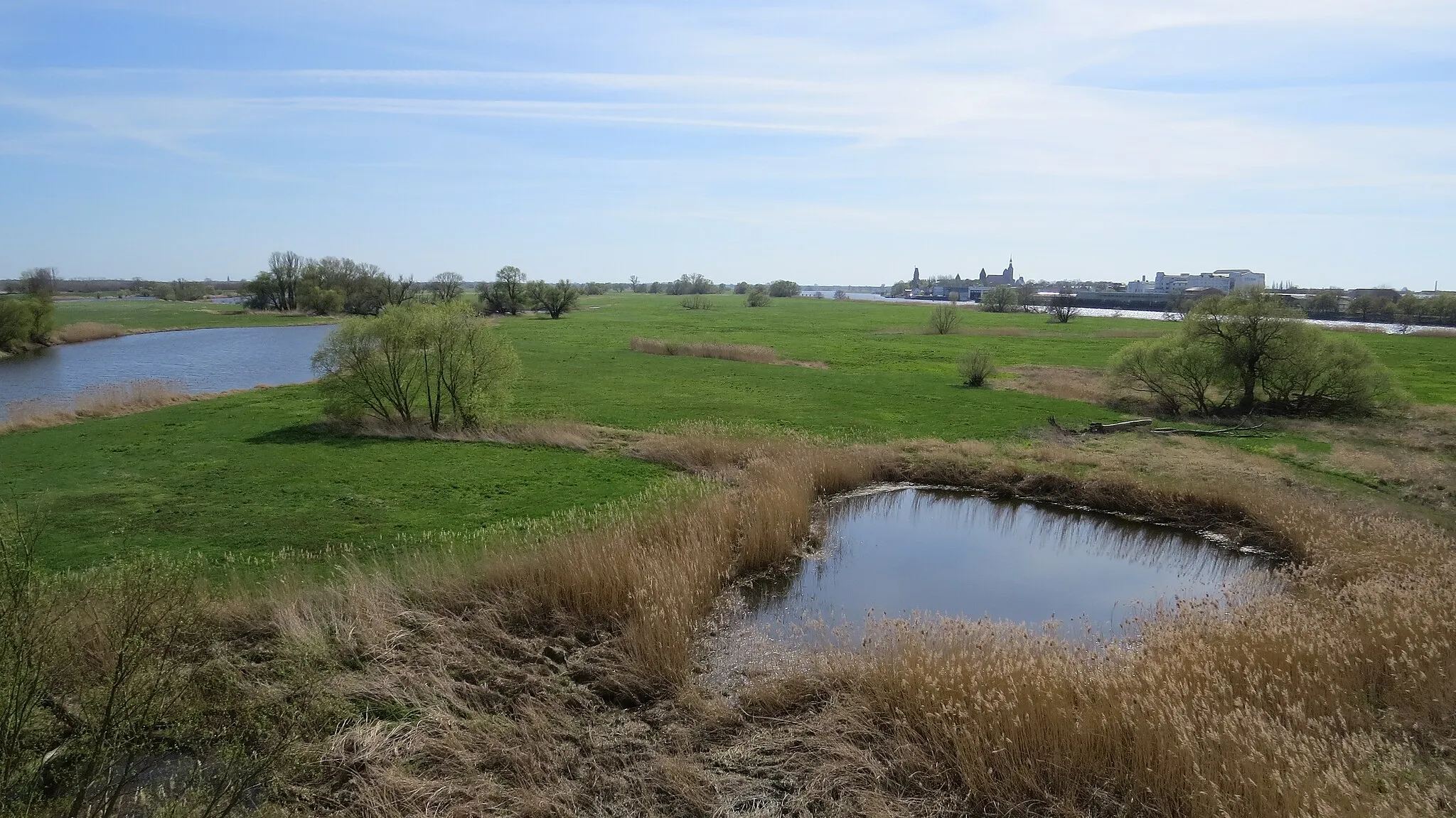 Photo showing: Elbaue bei Tangermünde