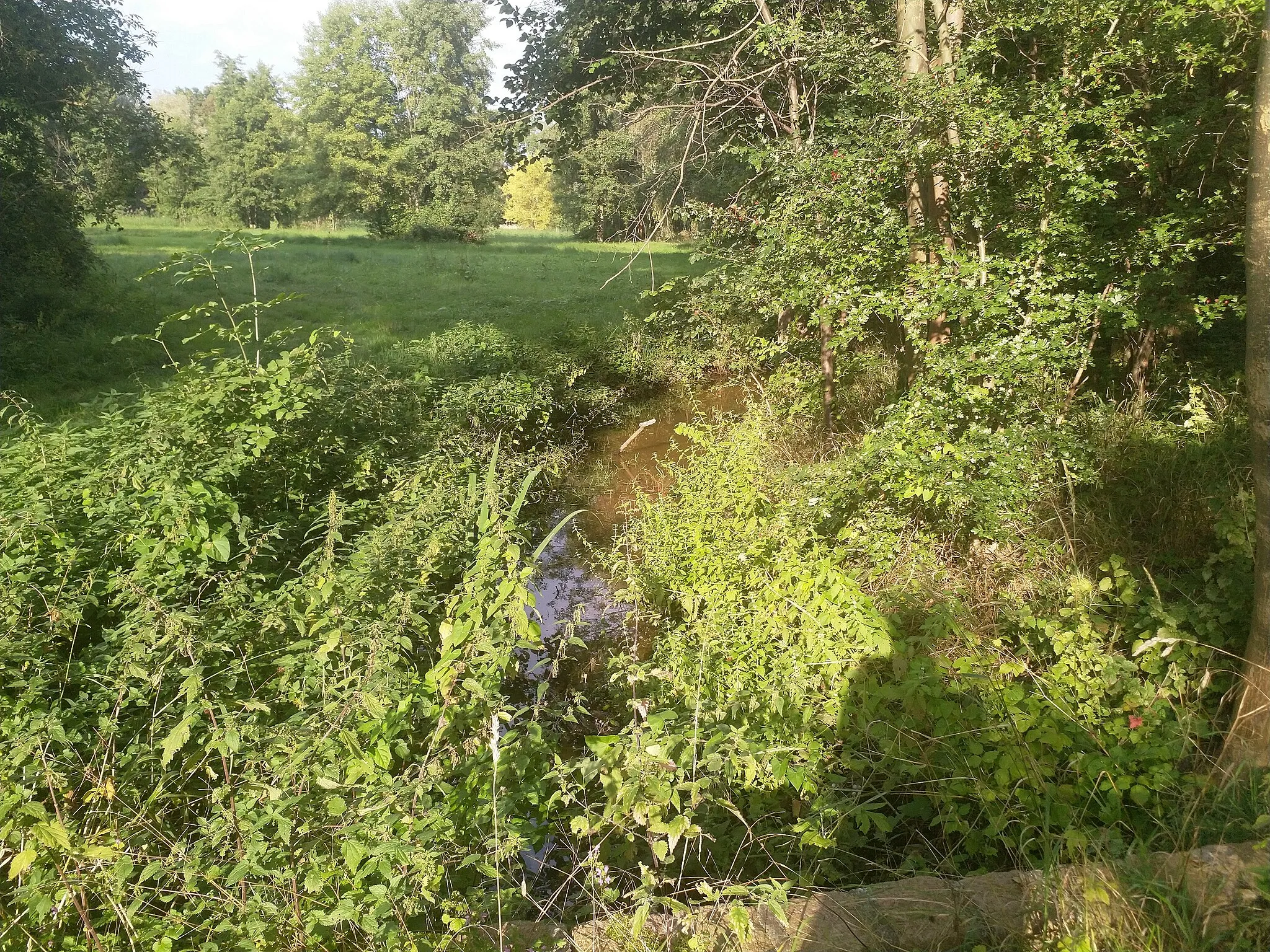 Photo showing: Kliagraben Geusa, Flächenhaftes Naturdenkmal im Saalekreis