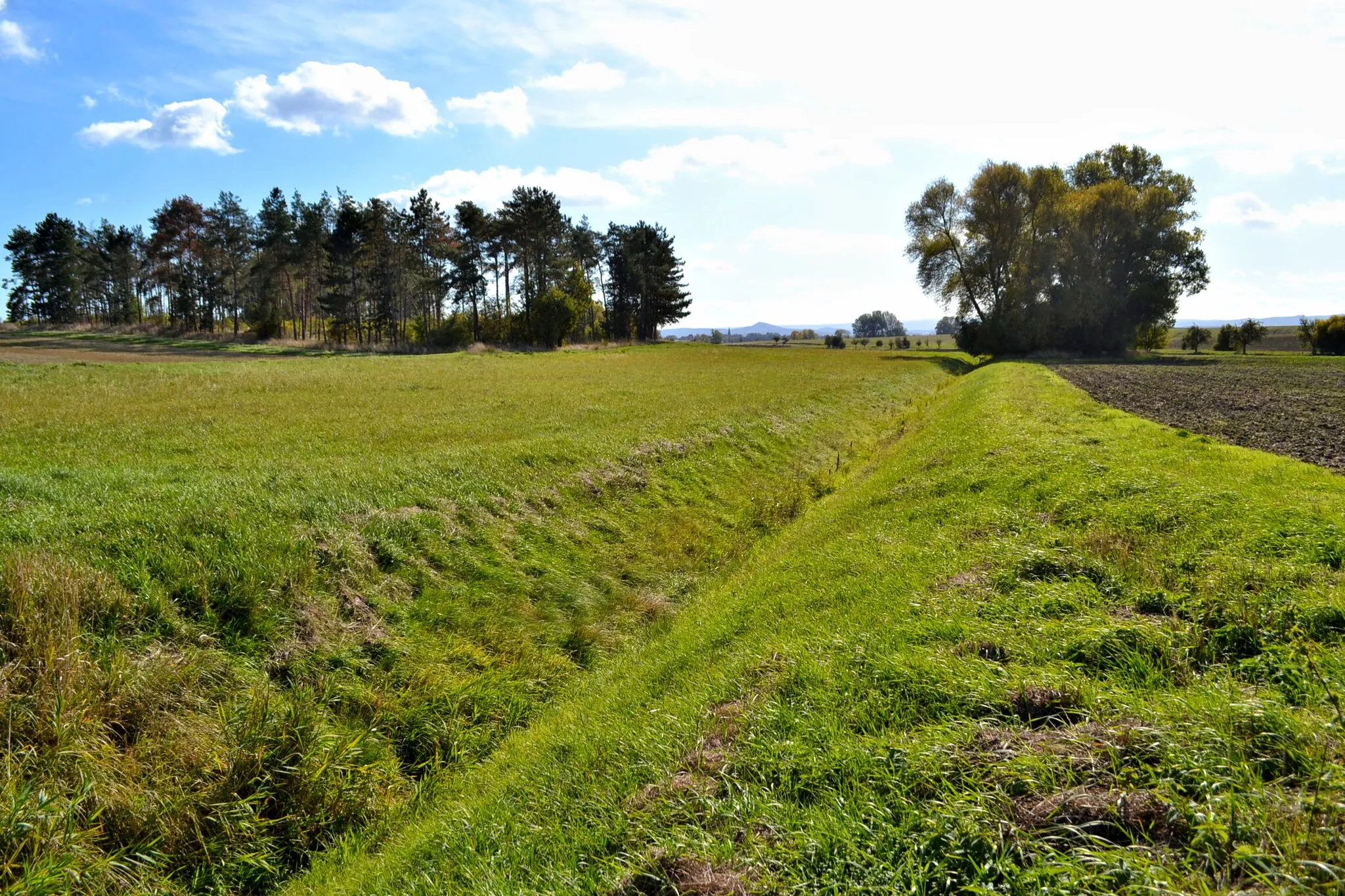 Photo showing: Denntalbach (Athenstedt), Fächennaturdenkmal