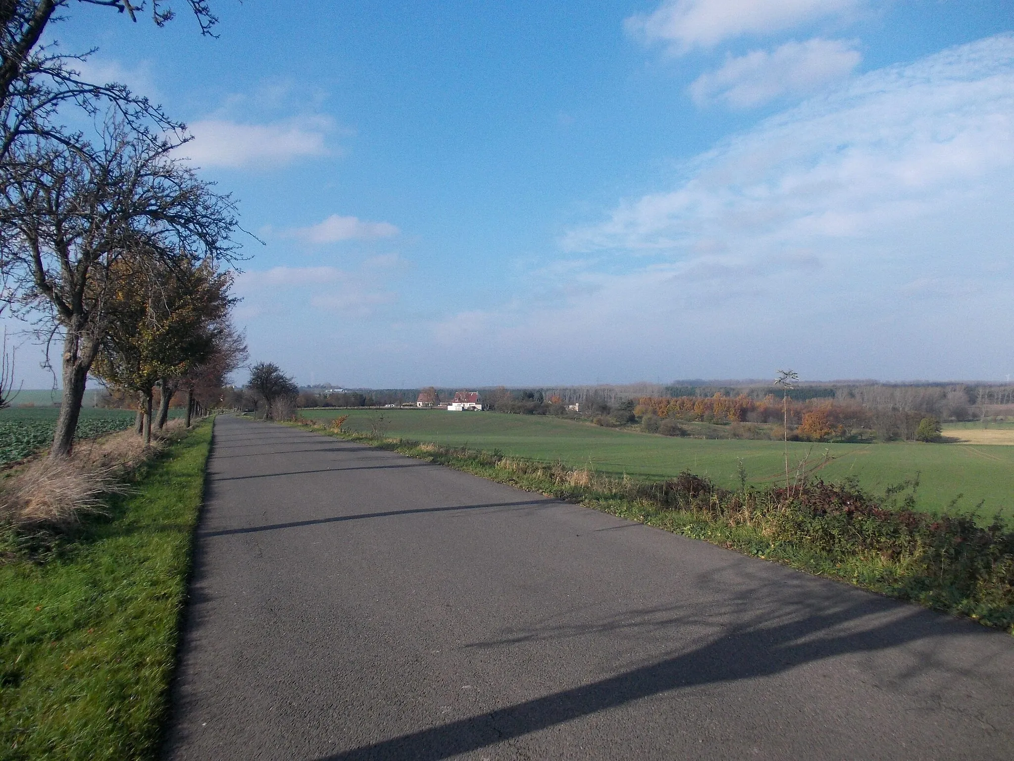 Photo showing: Landscape near Oelsen (Elsteraue, district: Burgenlandkreis, Saxony-Anhalt)