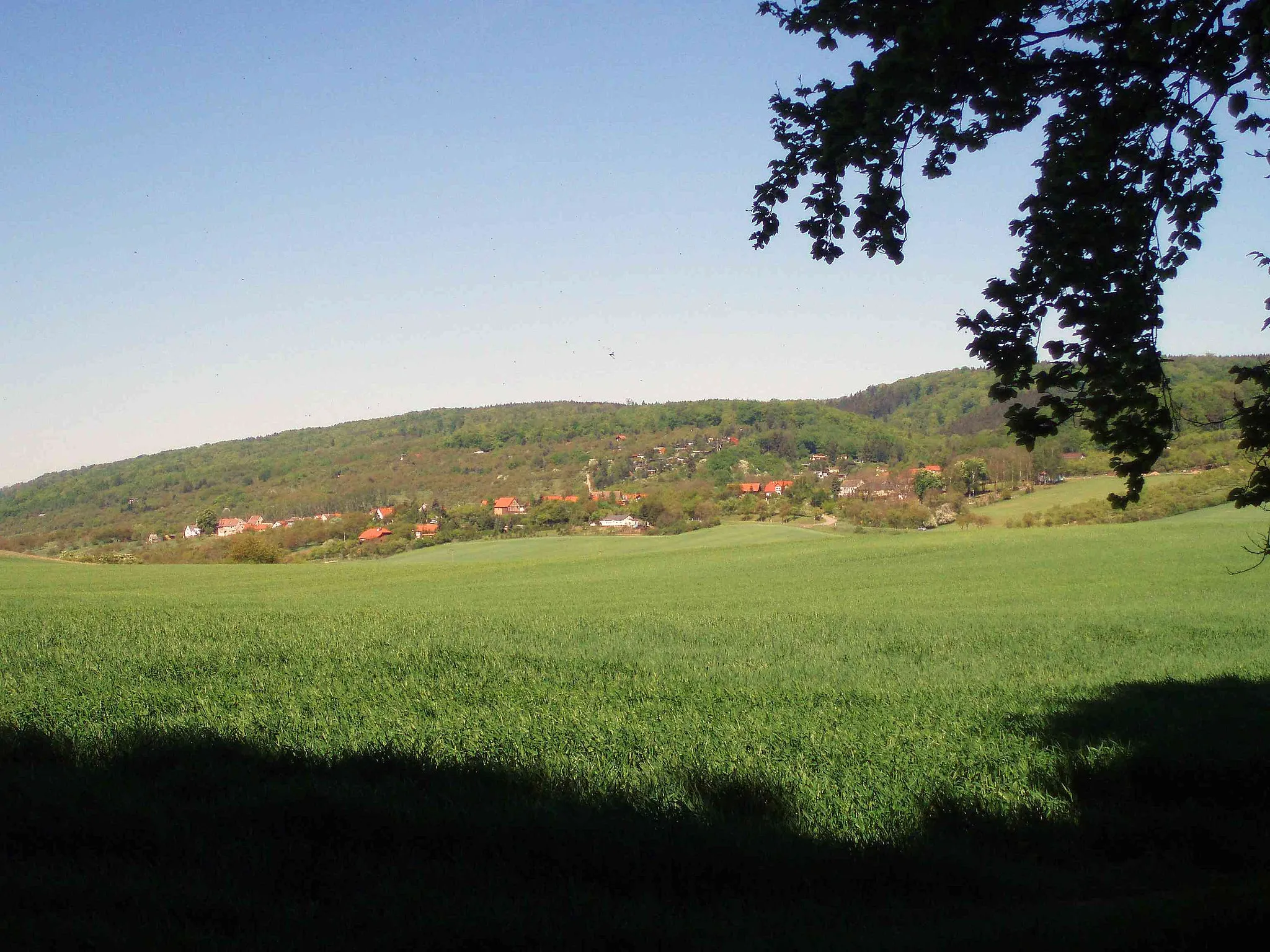 Photo showing: Blick auf Breitungen