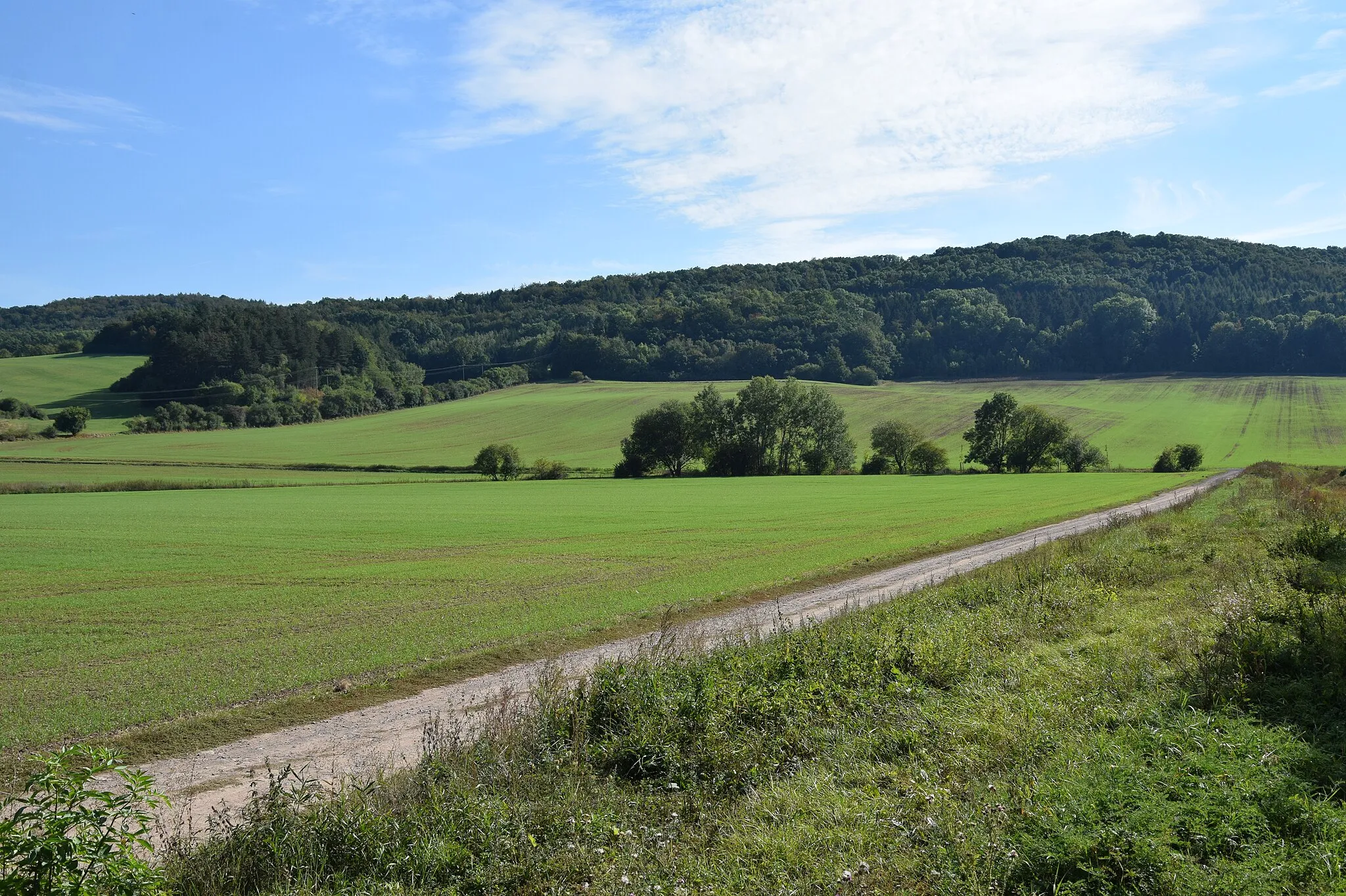 Photo showing: Hungersee – Blick zum Breitunger Tal, dem noch feuchten Rest des Sees. Ganz rechts verläuft der Breitunger Bach.