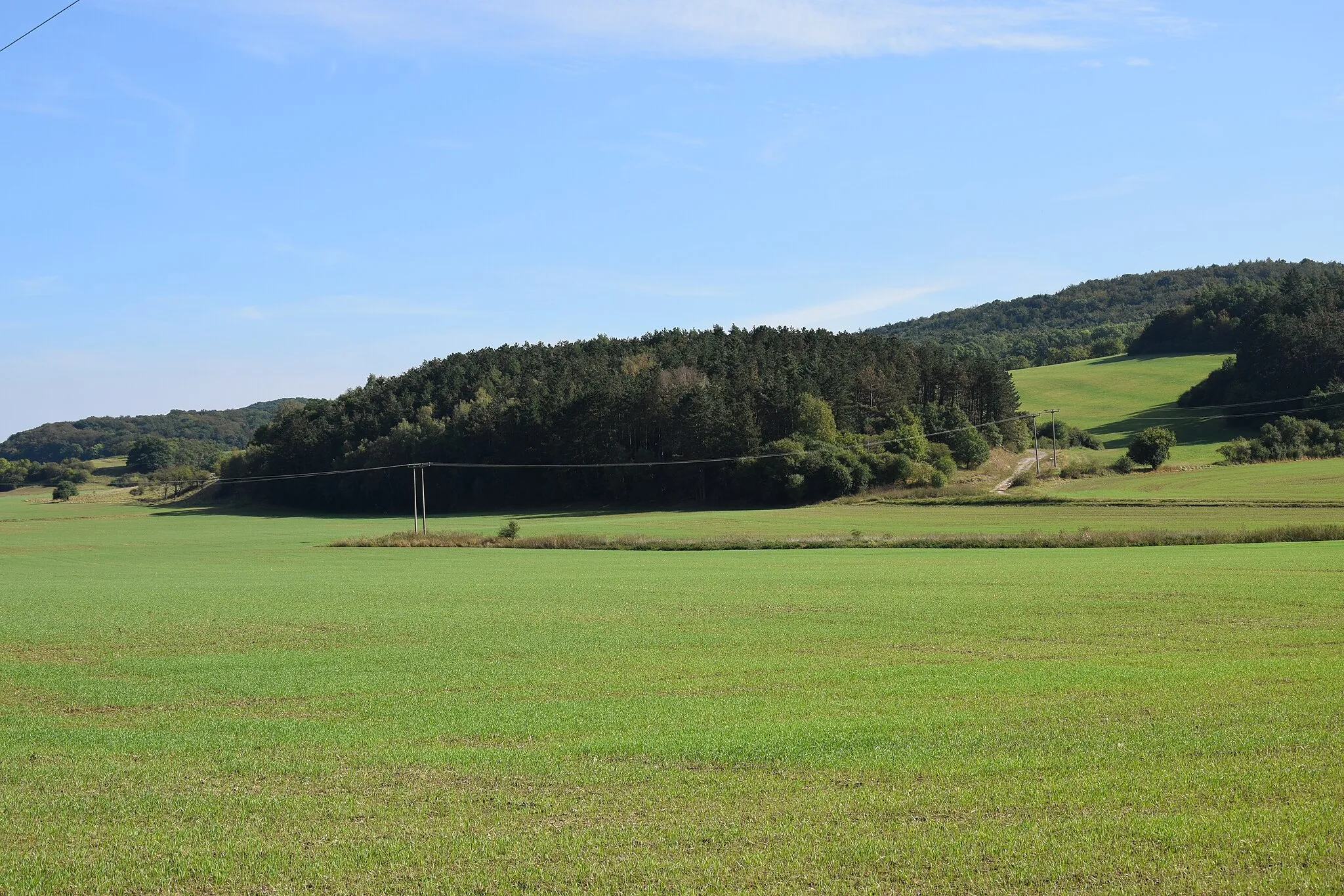 Photo showing: Hungersee – Blick zum Breitunger Tal, dem noch feuchten Rest des Sees