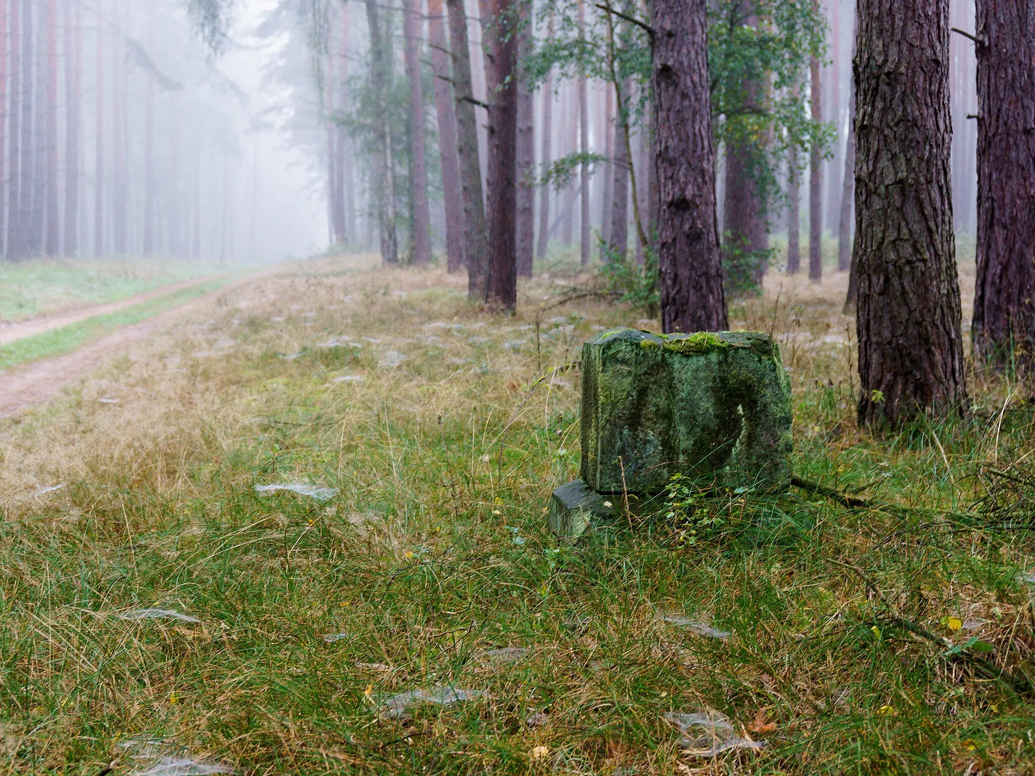 Photo showing: Fragment eines preußischen Halbmeilenobelisk (0301) im Gageler Holz nordwestlich von Gagel