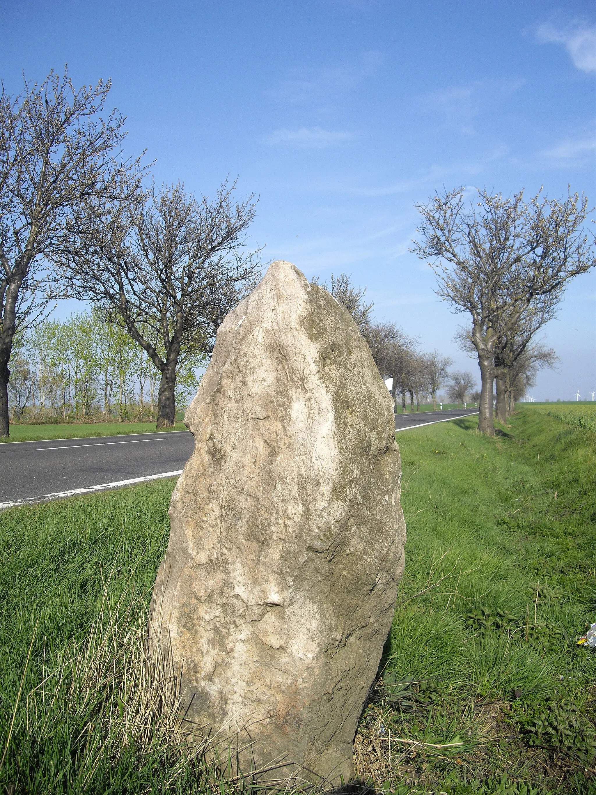 Photo showing: Der Menhir "Feldpredigerstein" von Welfesholz, er steht an der Straße nach Gerbstedt.