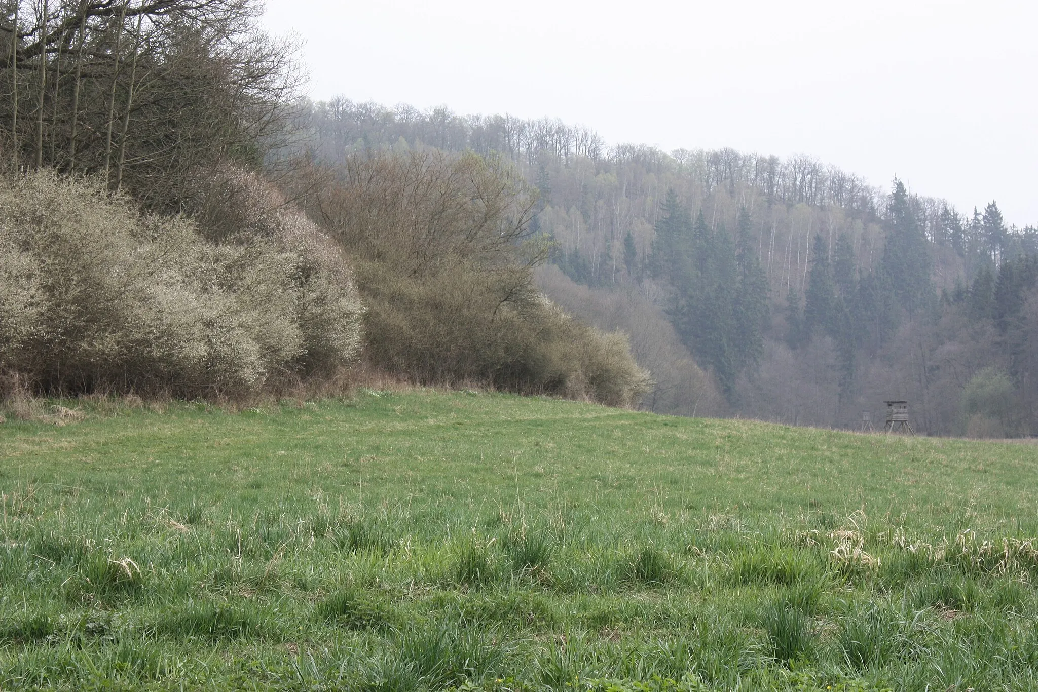 Photo showing: Braunschwende (Mansfeld), in the valley of the Schmale Wipper