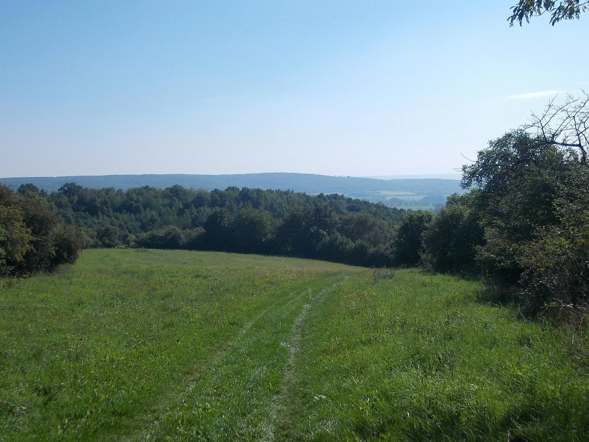 Photo showing: Hiking trail between Pölsfeld (Allstedt) and Riestedt (Sangerhausen, Mansfeld-Südharz district, Saxony-Anhalt)