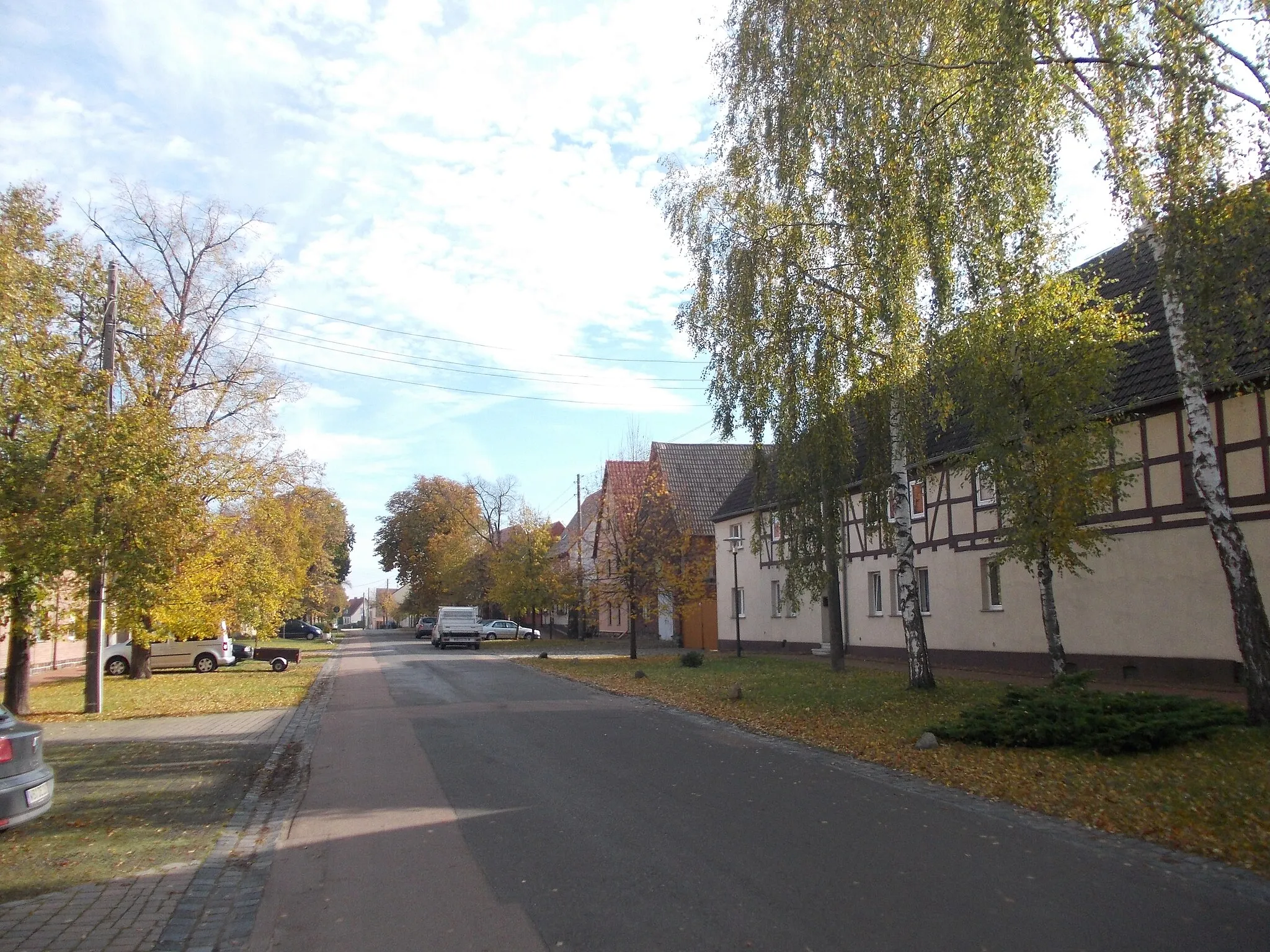 Photo showing: Griesener Dorfstrasse in Griesen (Oranienbaum-Wörlitz, Wittenberg district, Saxony-Anhalt)