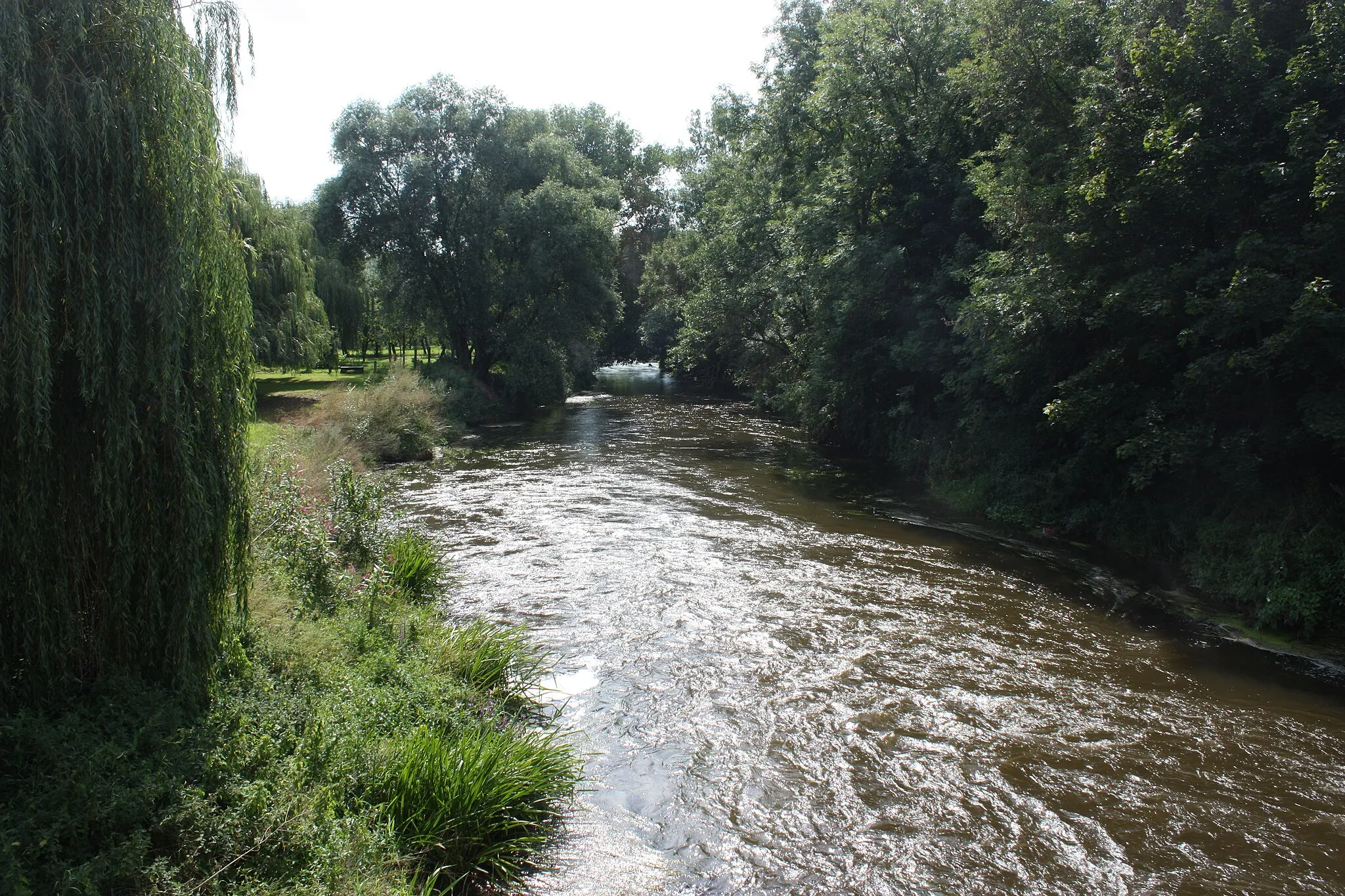 Photo showing: Burgscheidungen (Laucha), the Unstrut river