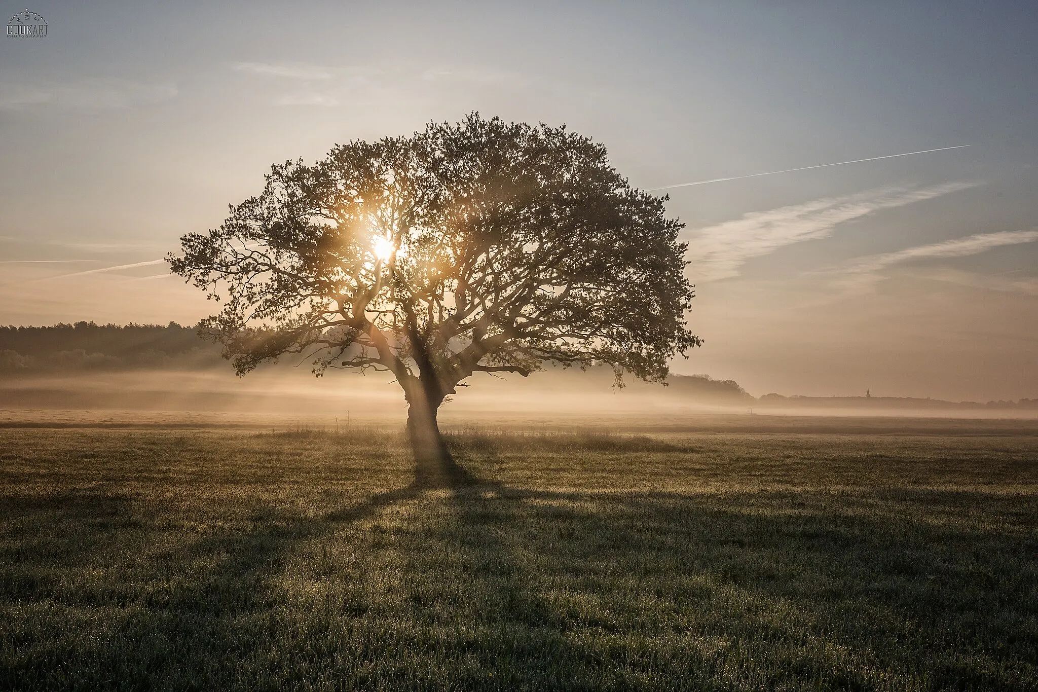 Photo showing: Frühlingsmorgen in den Elbauen bei Steutz, inklusive wunderschönem Nebel