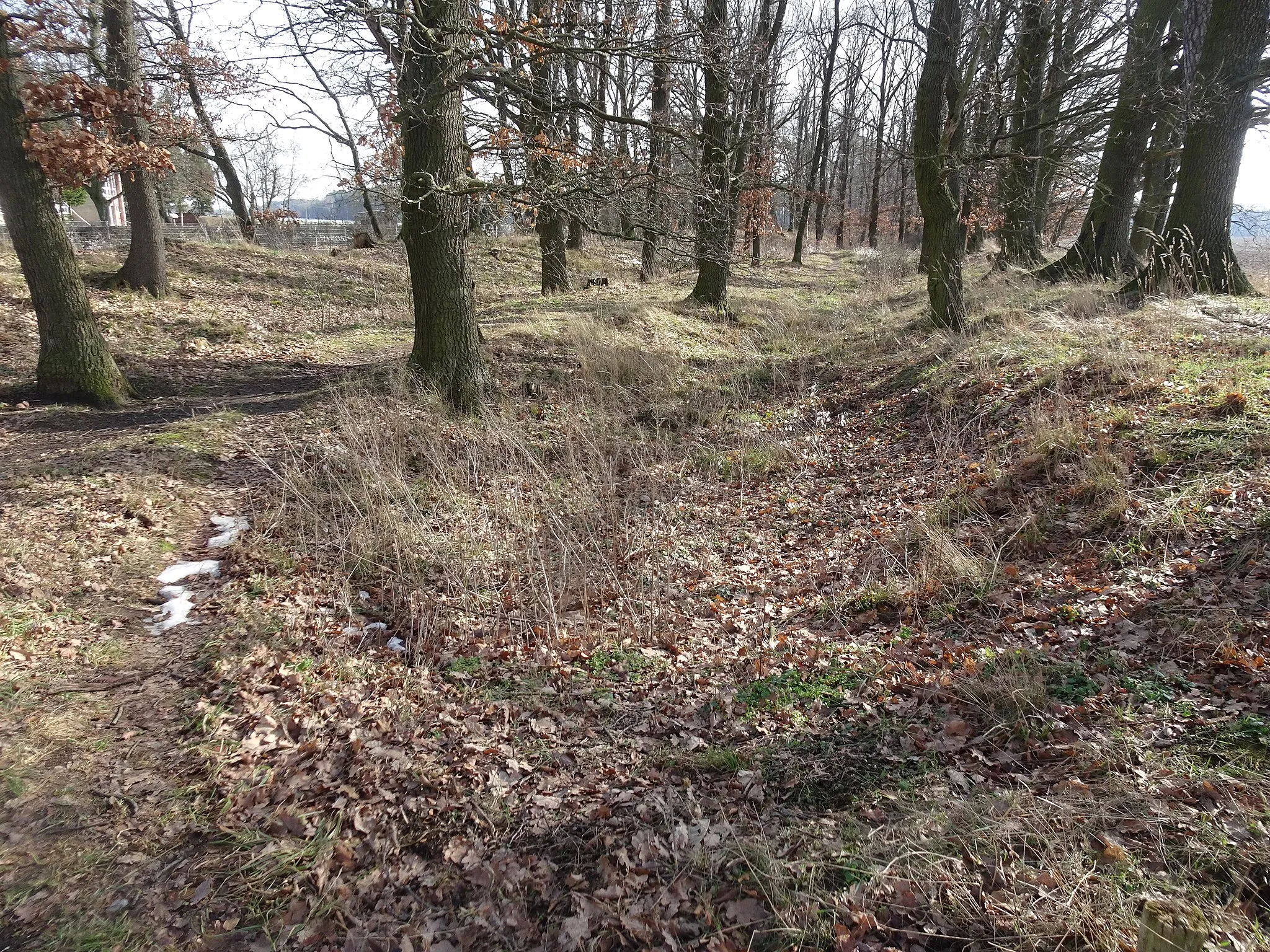 Photo showing: Jeber-Bergfrieden, Ortsteil von Coswig, denkmalgeschützte Landwehr