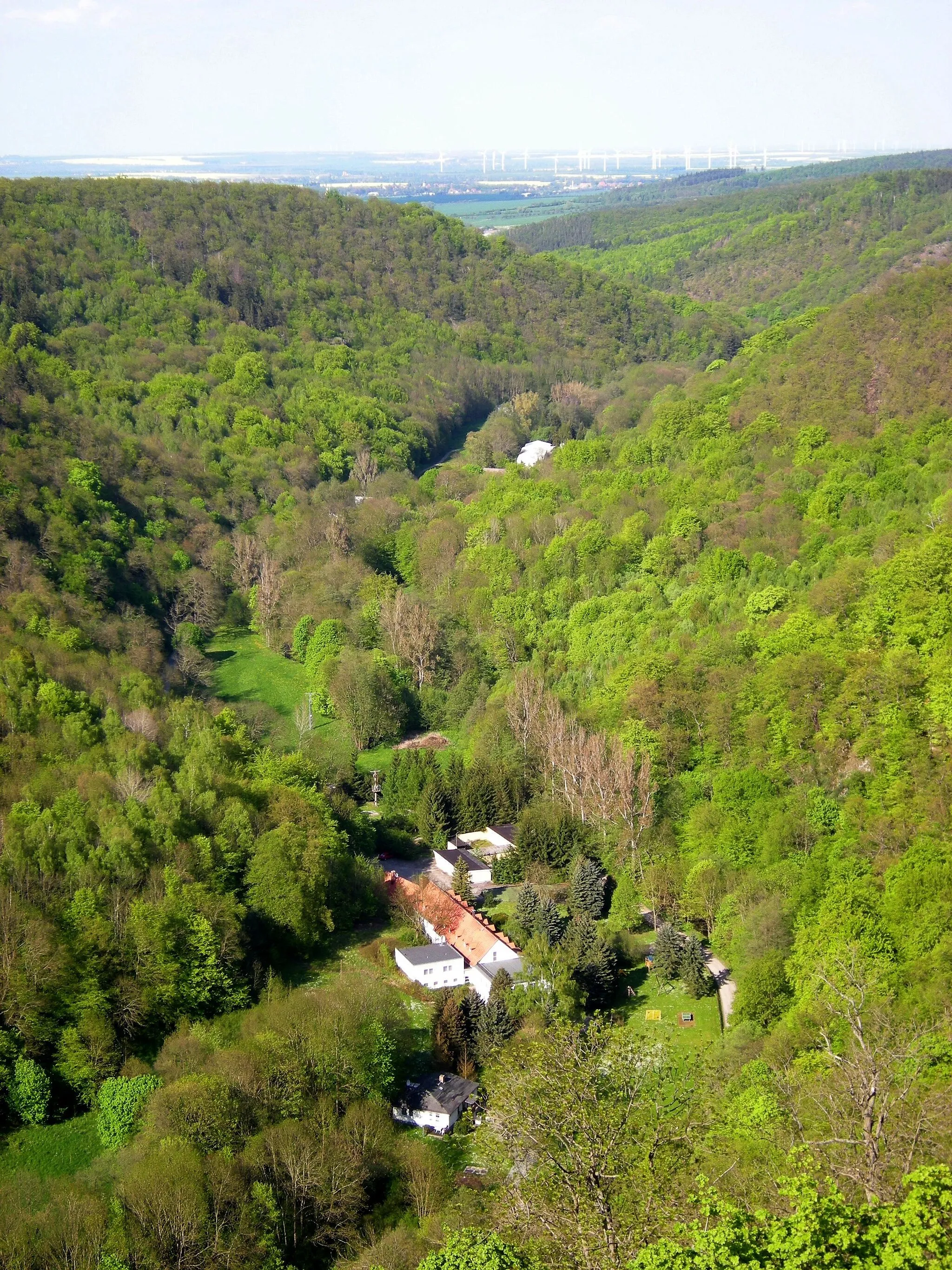 Photo showing: Burg Falkenstein über dem Selketal  Aussicht.jpg