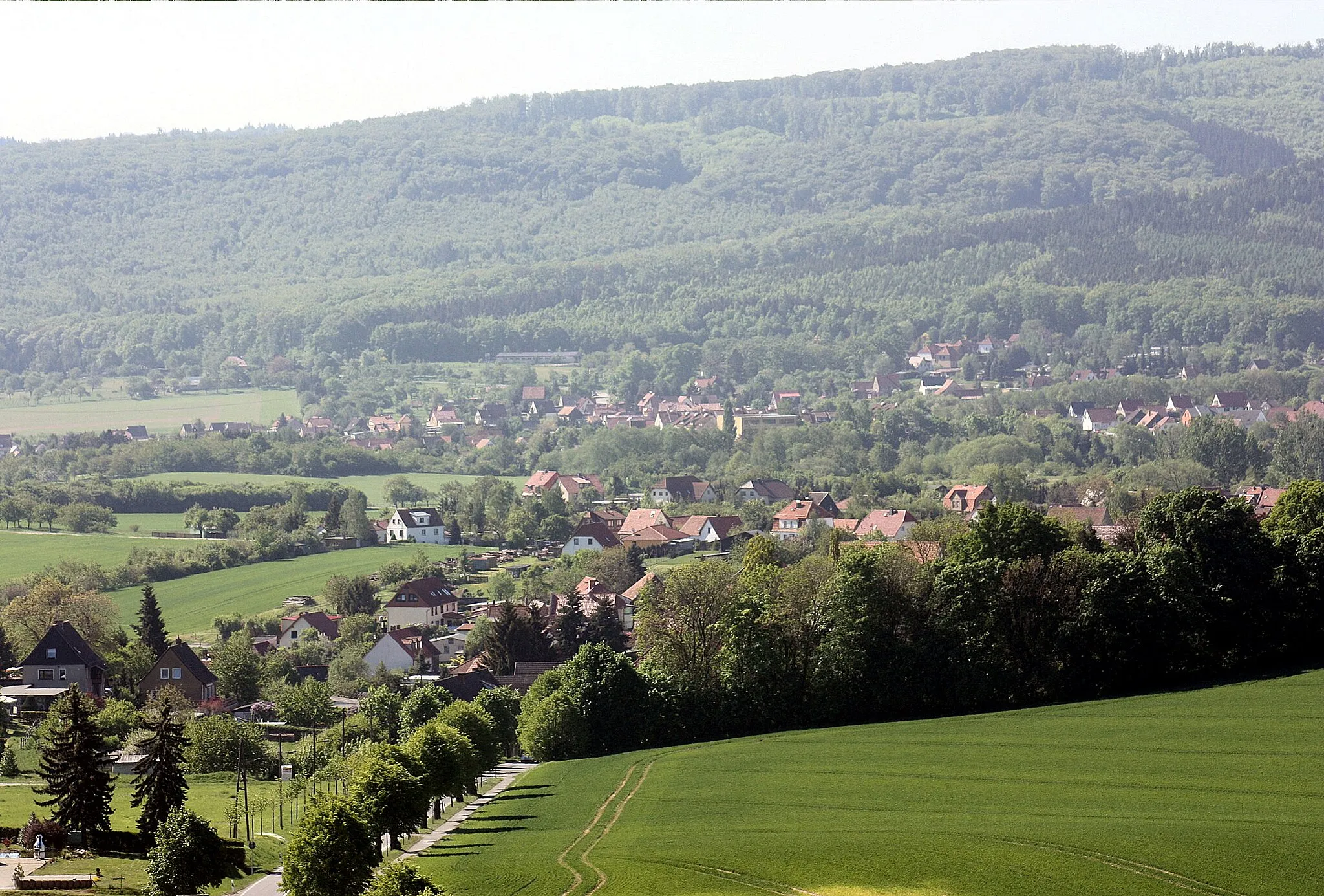 Photo showing: Blankenburg (Harz), view from "Großvaterfelsen" to Cattenstedt