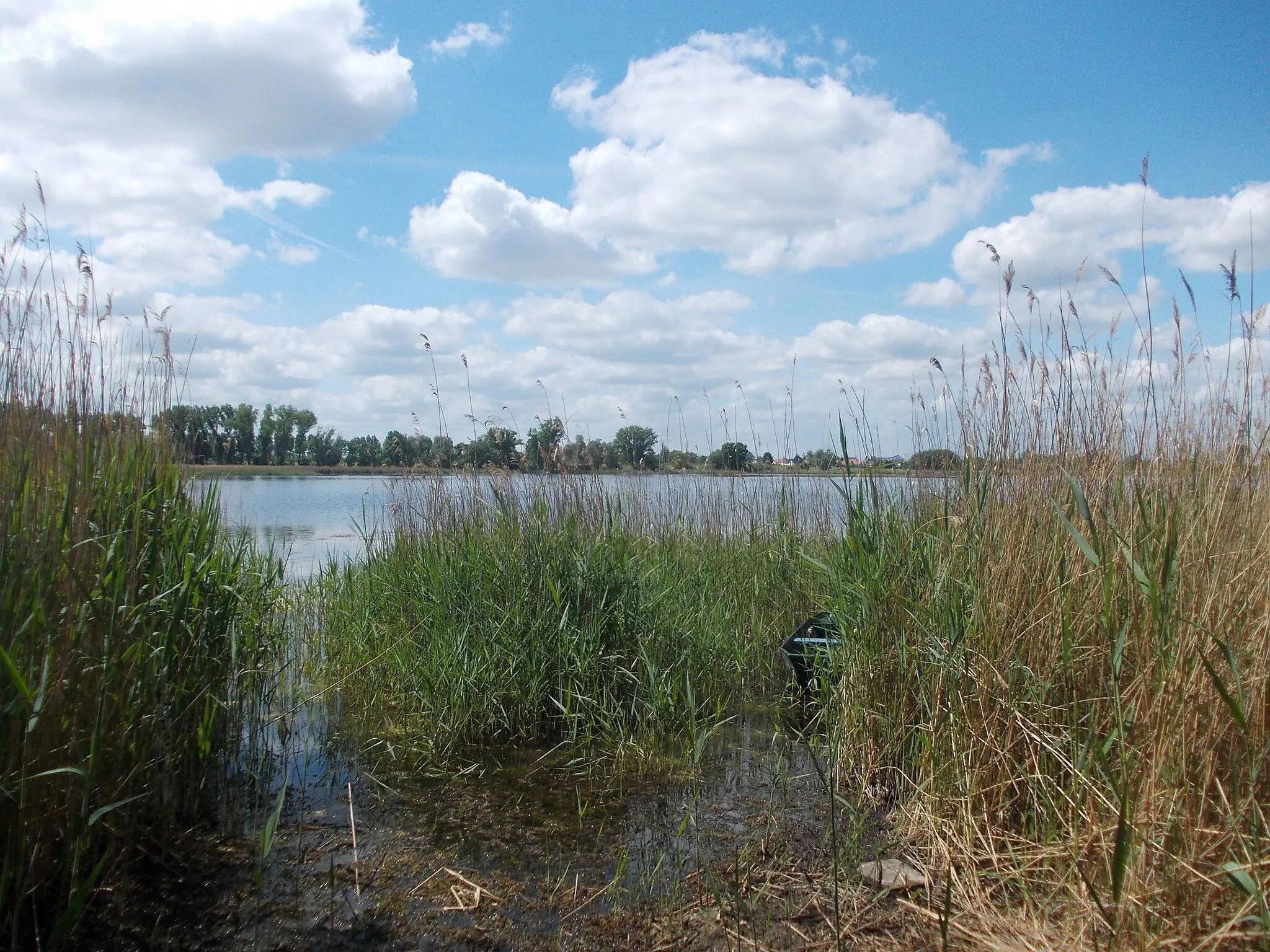 Photo showing: Grosser Wiendorfer Teich in the Gerlebogk Ponds nature reserve (Könnern, district: Salzlandkreis, Saxony-Anhalt)