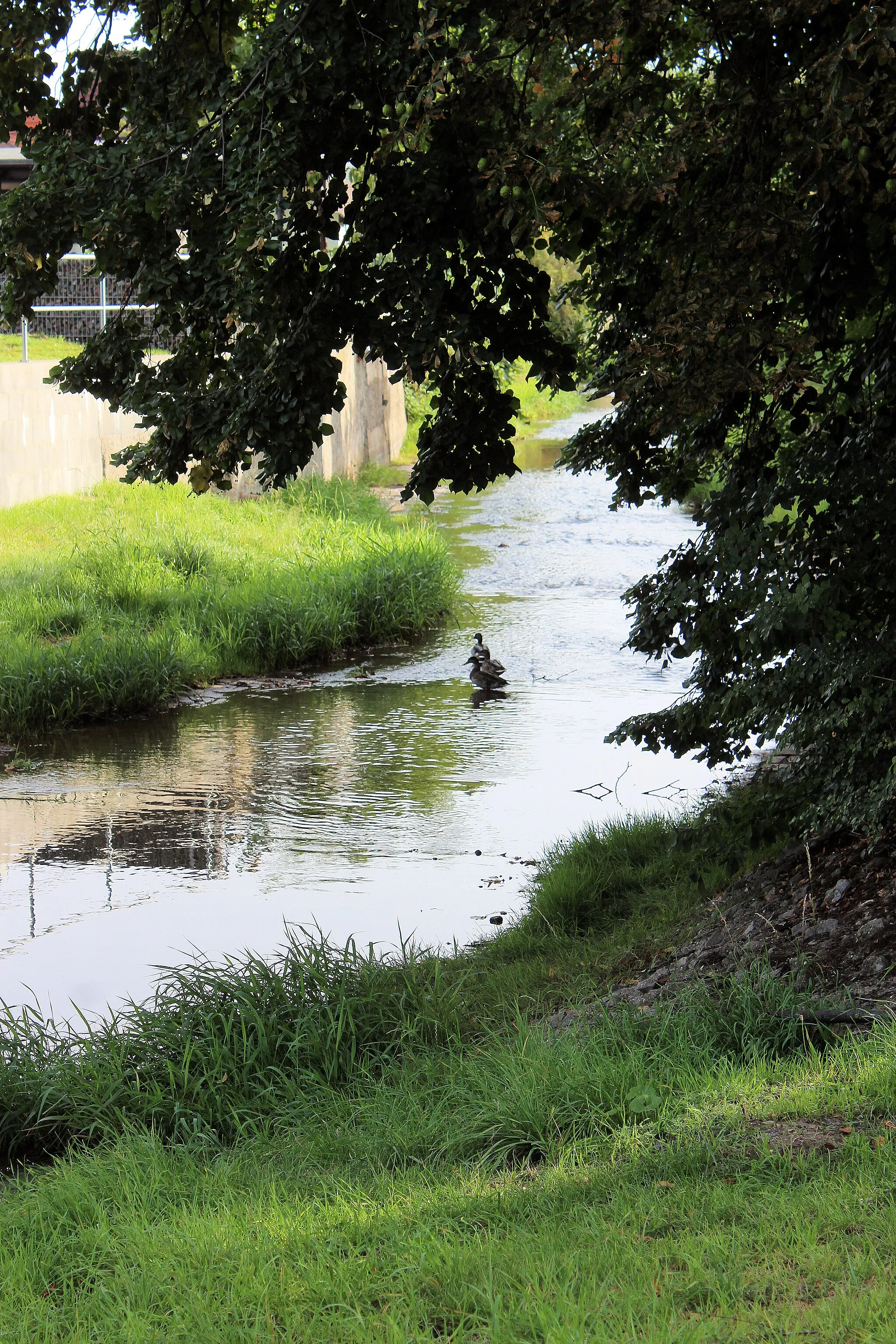 Photo showing: Großörner (Mansfeld), the Wipper river