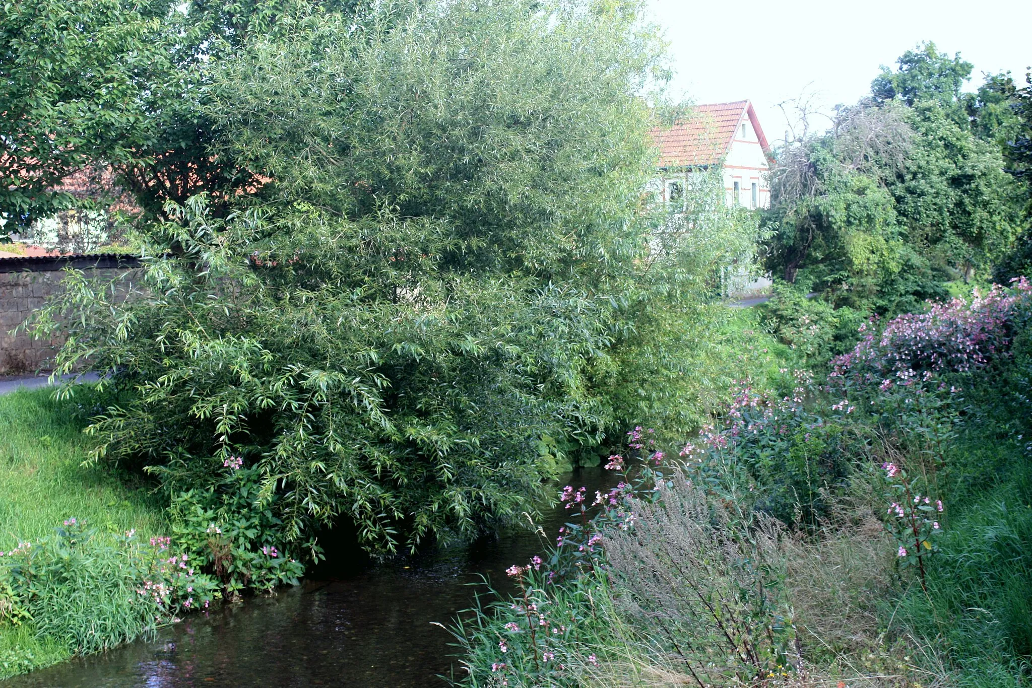 Photo showing: Berga (Kyffhäuser), the Thyra river
