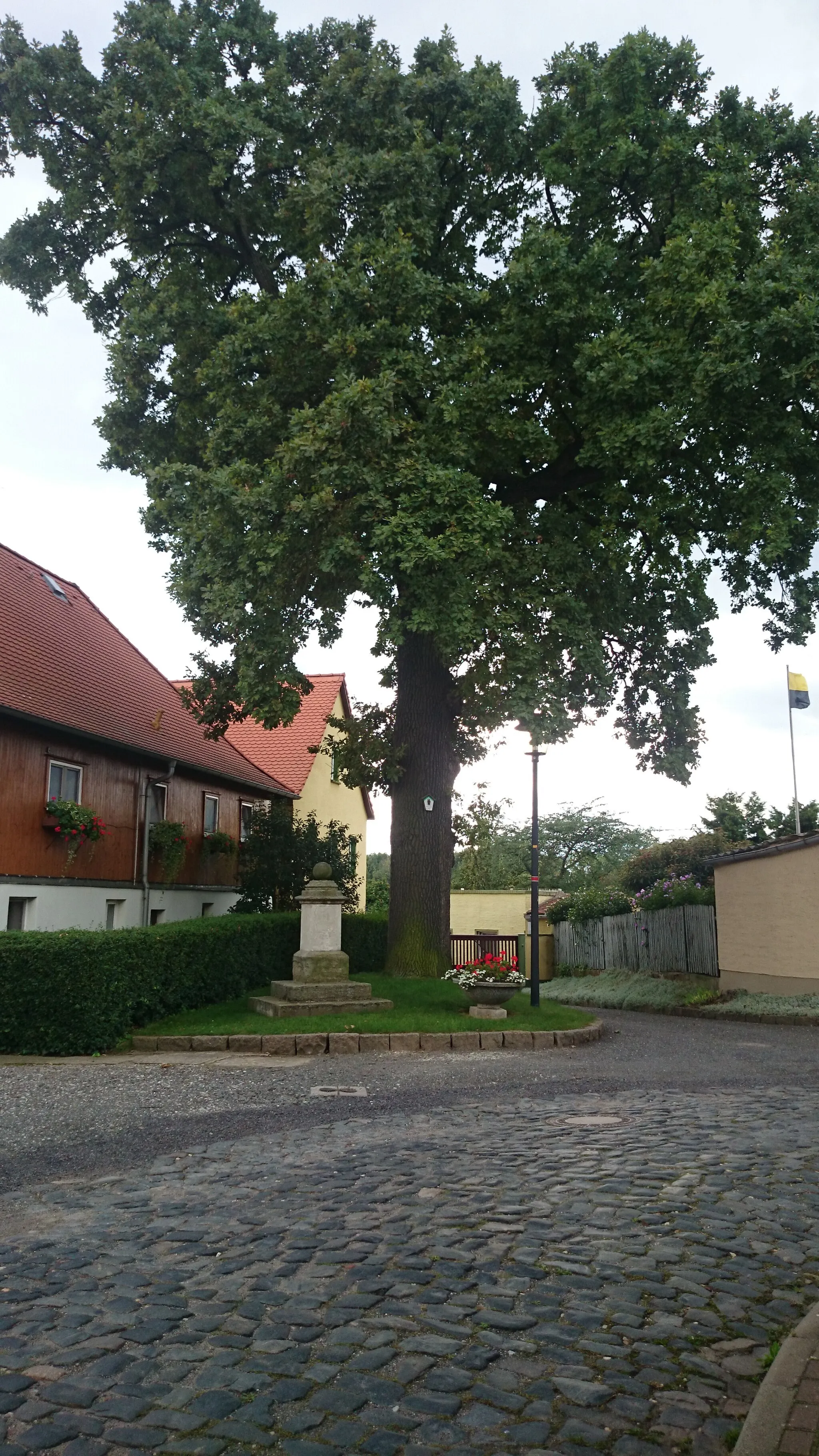 Photo showing: Naturdenkmal in Draschwitz