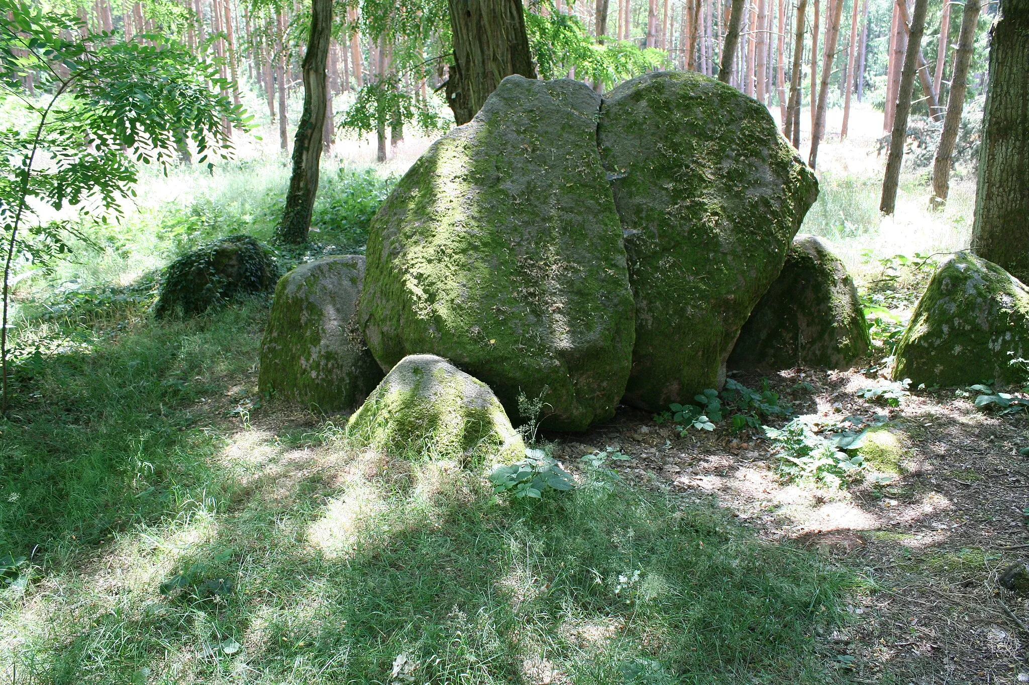 Photo showing: Großsteingrab Hohenwulsch-Friedrichsfleiß