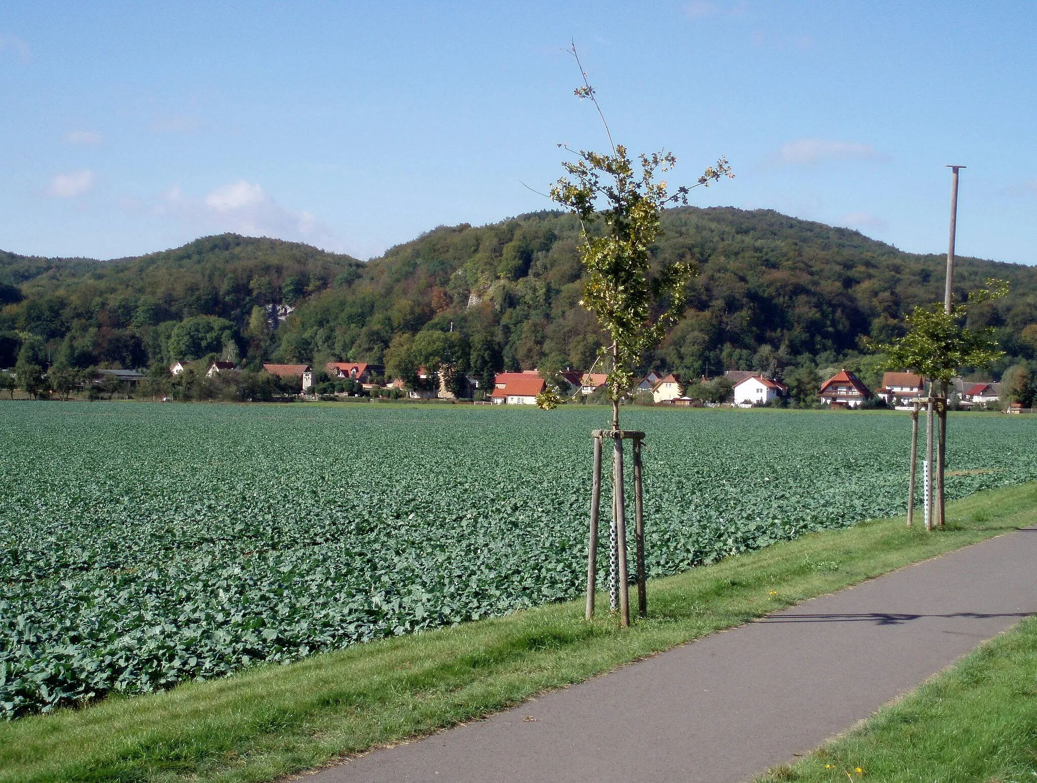 Photo showing: The village of Stempeda, Germany, with the Alter Stolberg heights and nature reserve